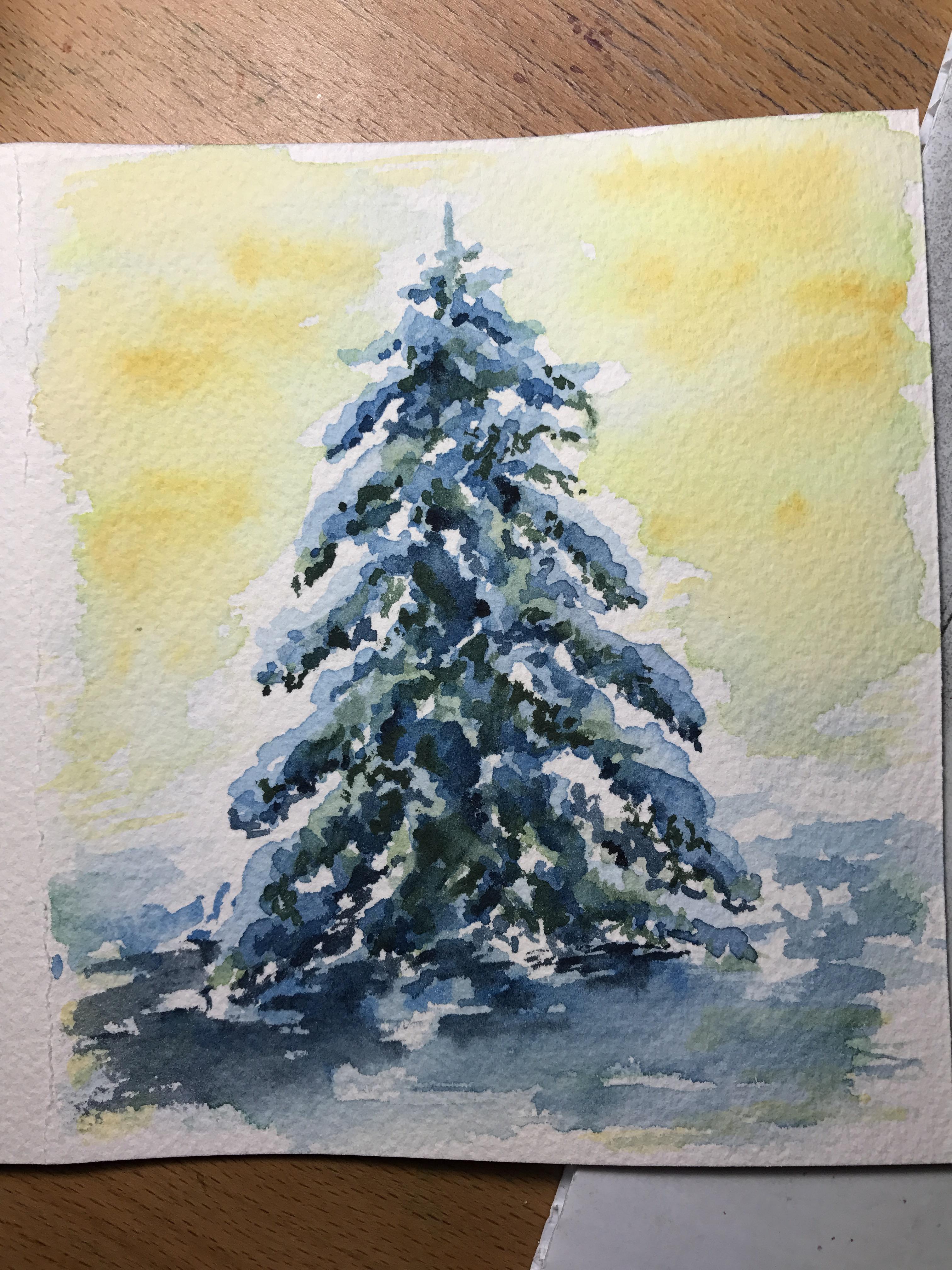 Pine Tree r/Watercolor