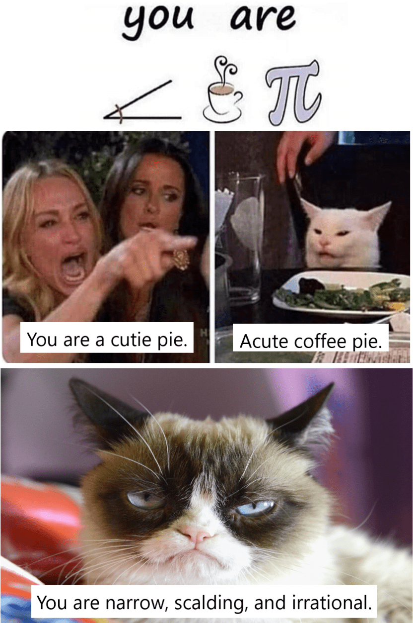 There are two types of cats. r/memes