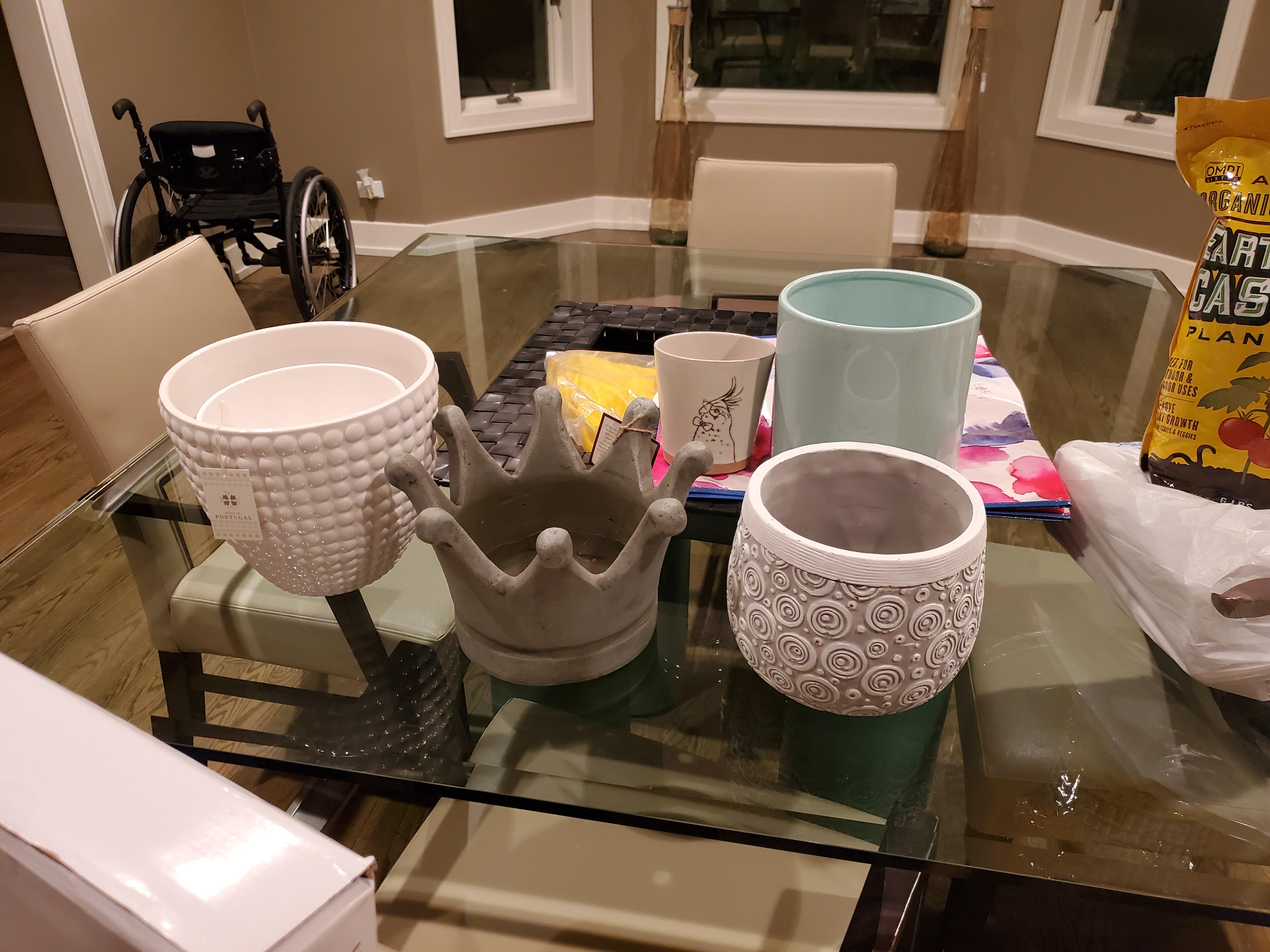 Got some cute pots from HomeGoods and TJMaxx! I want to use the crown for my marble queen, do we
