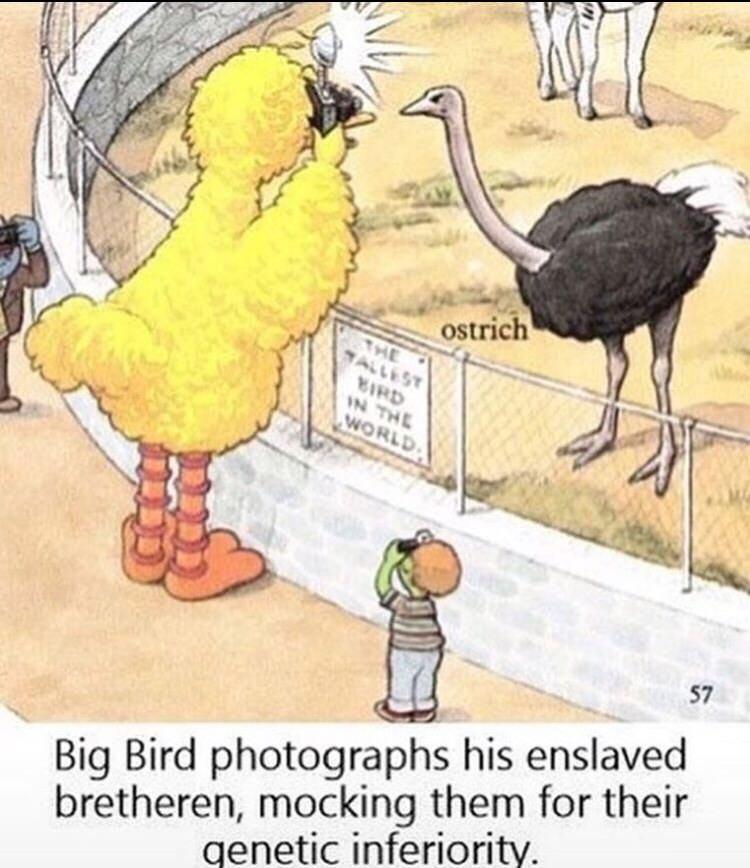 Big Bird memes