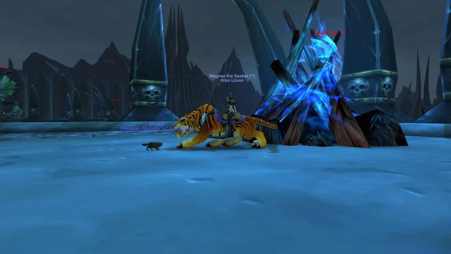 The One of a Kind Bengal Tiger Mount Spotted in the Wild and the Story