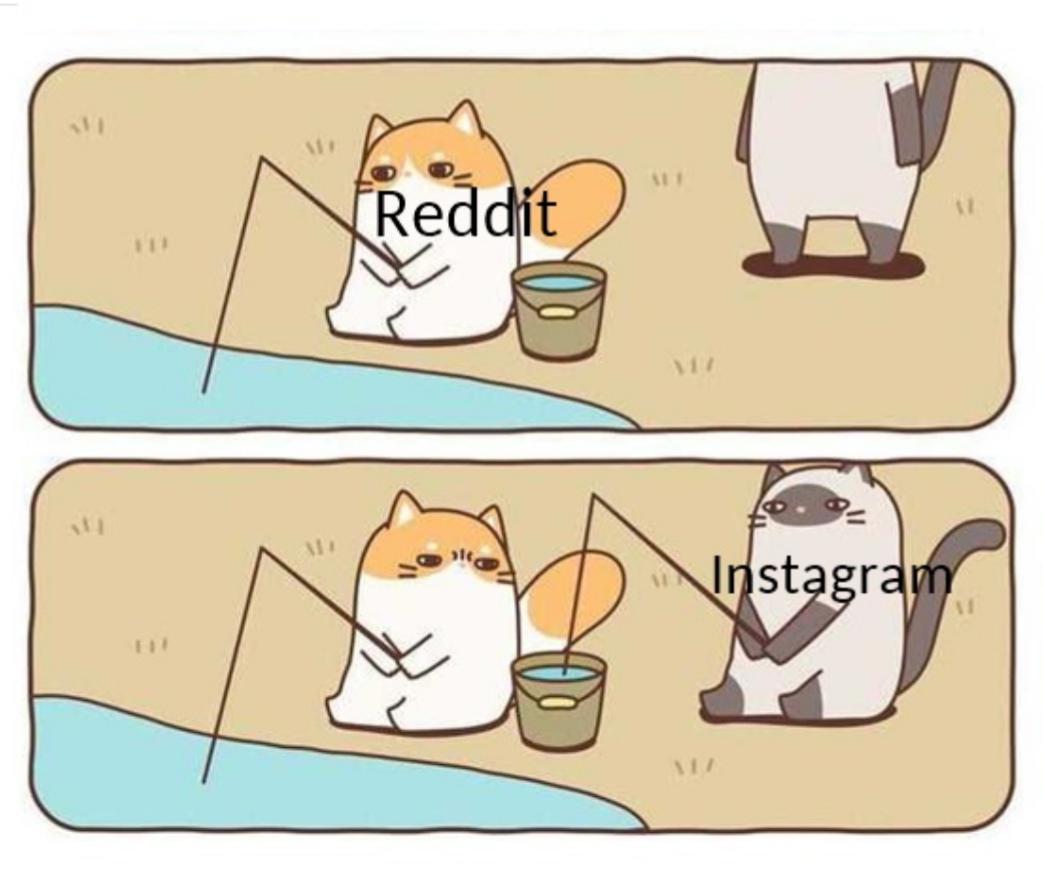 Cat fishing from other cat's basket r/MemeTemplatesOfficial