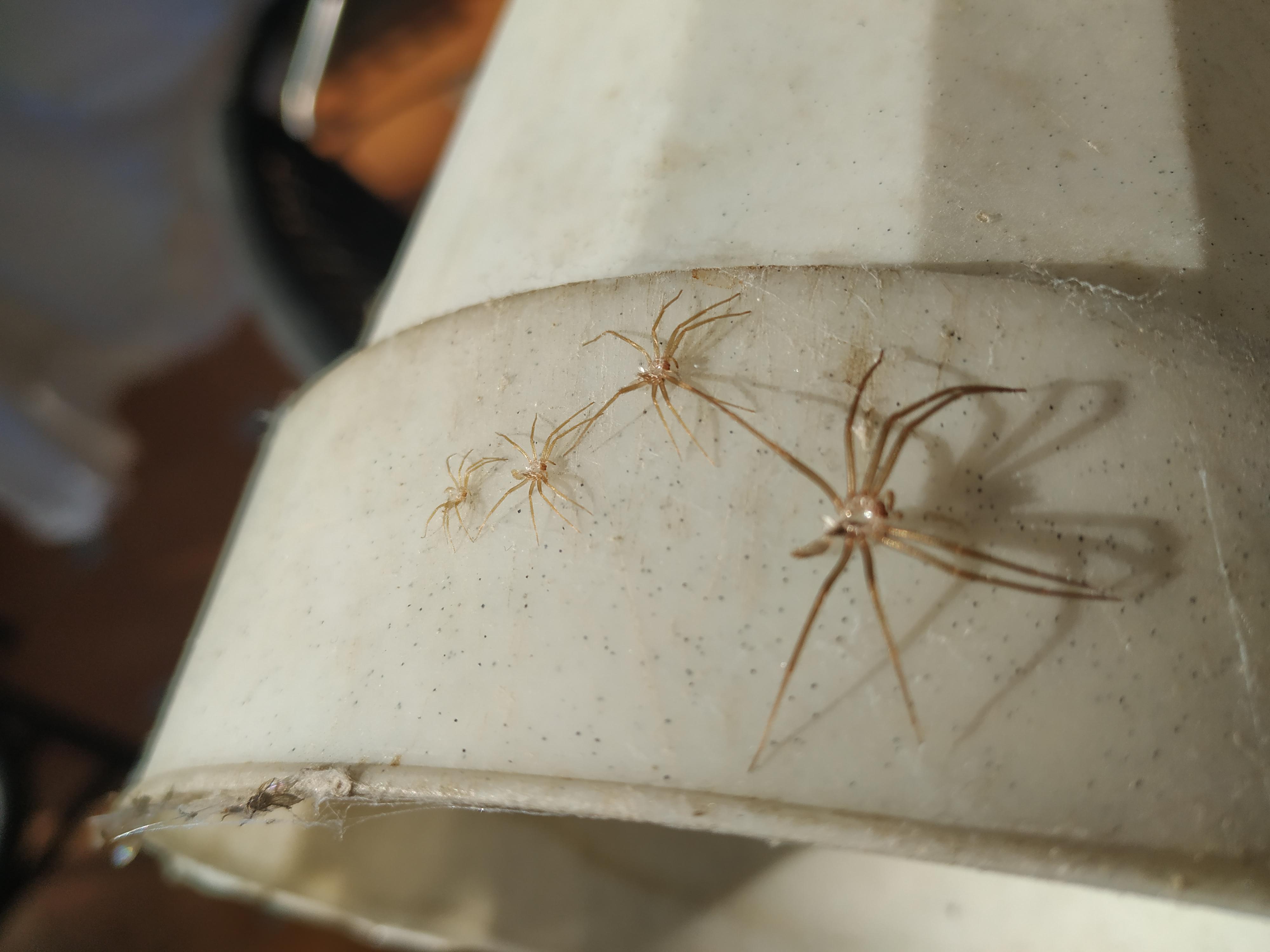 That's... That's actually pretty awesome!