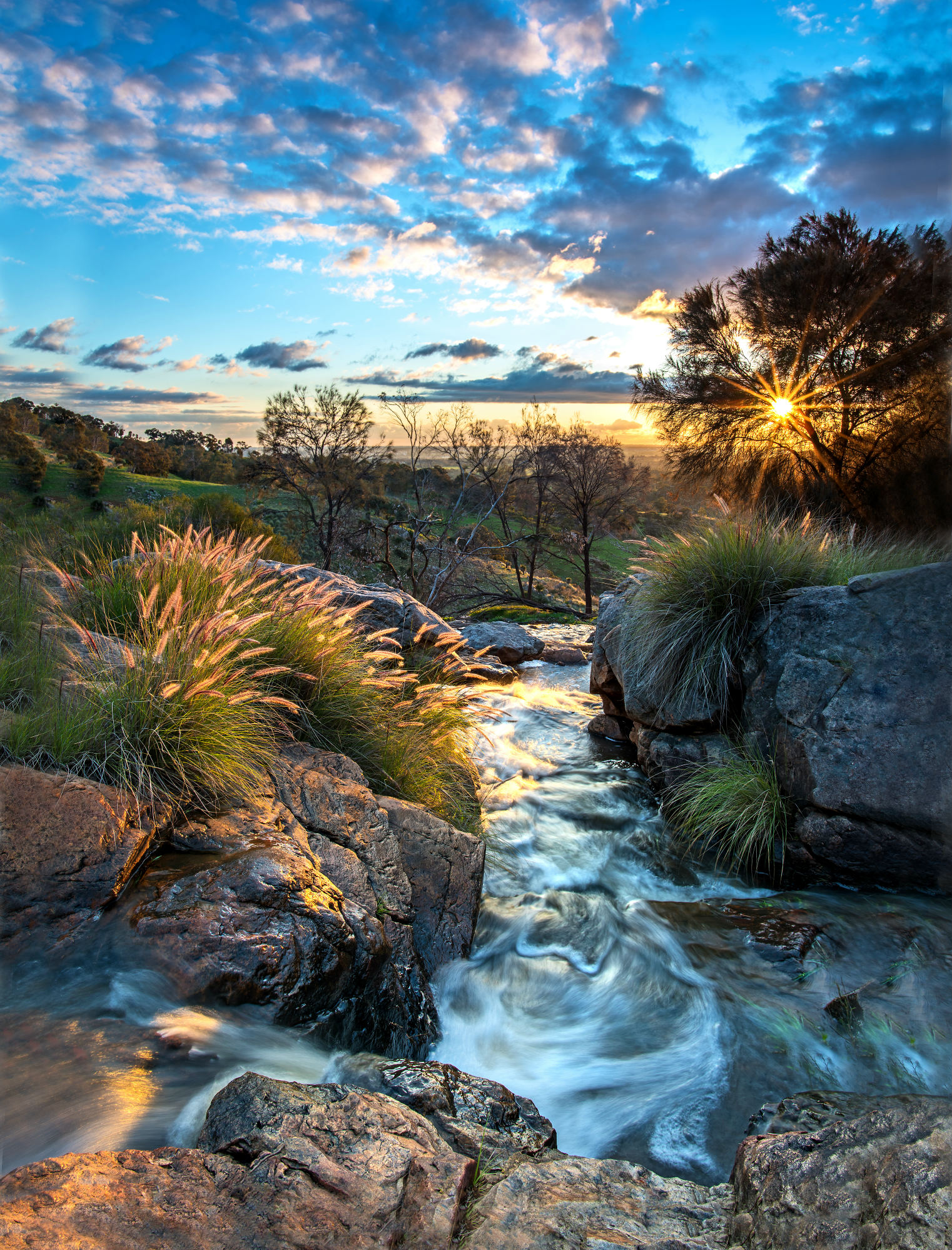 Sunset in the hills of Perth, Western Australia (OC) (1522×2000