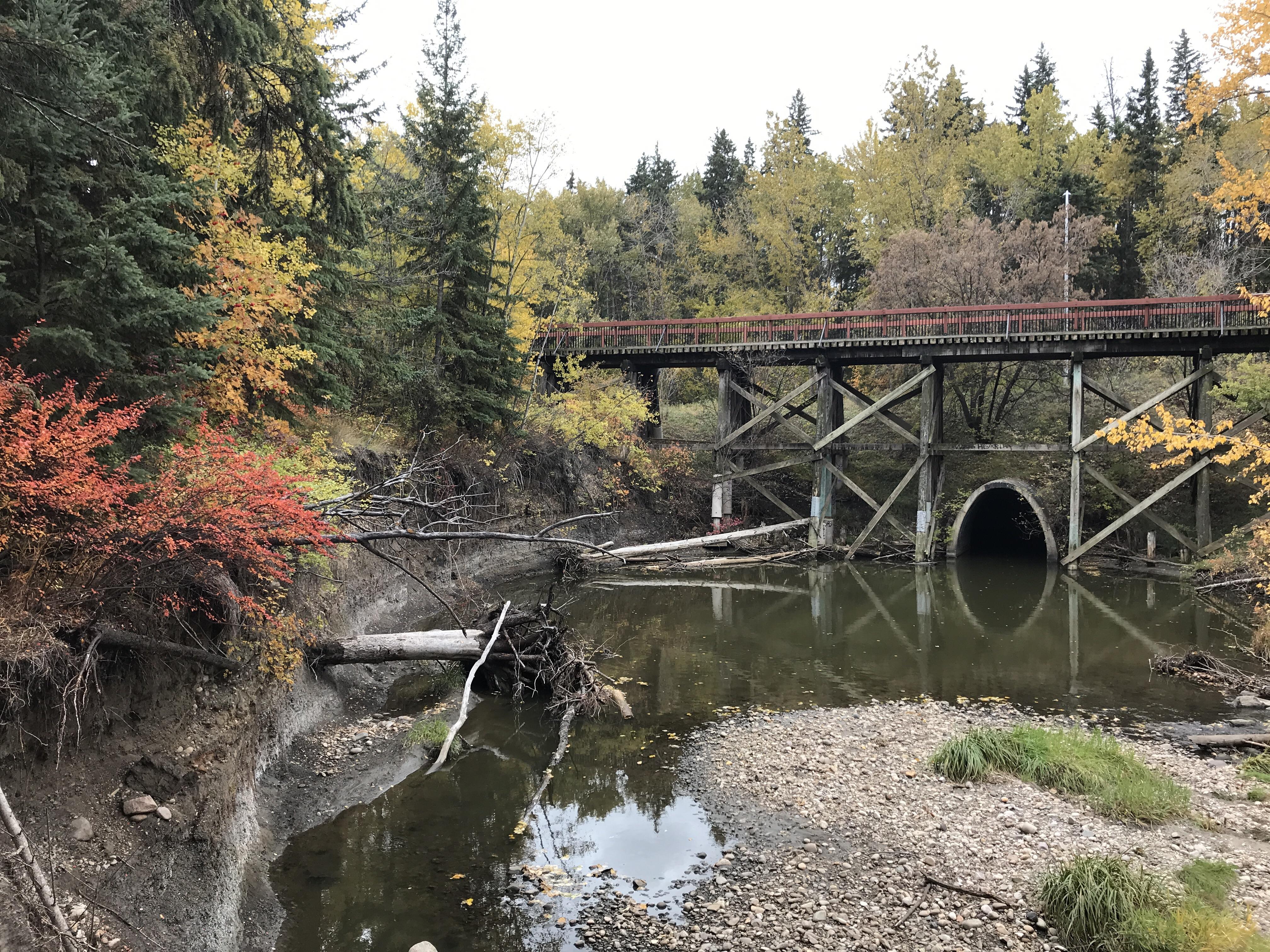Mill Creek Trestle Bridge r/Edmonton