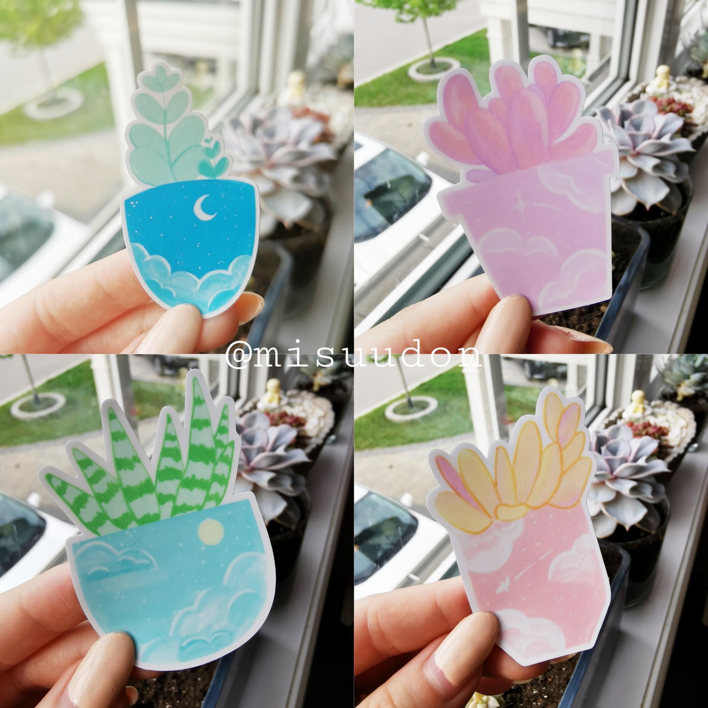 Made some succulent vinyl stickers (waterproof + dishwasher safe) ! 6