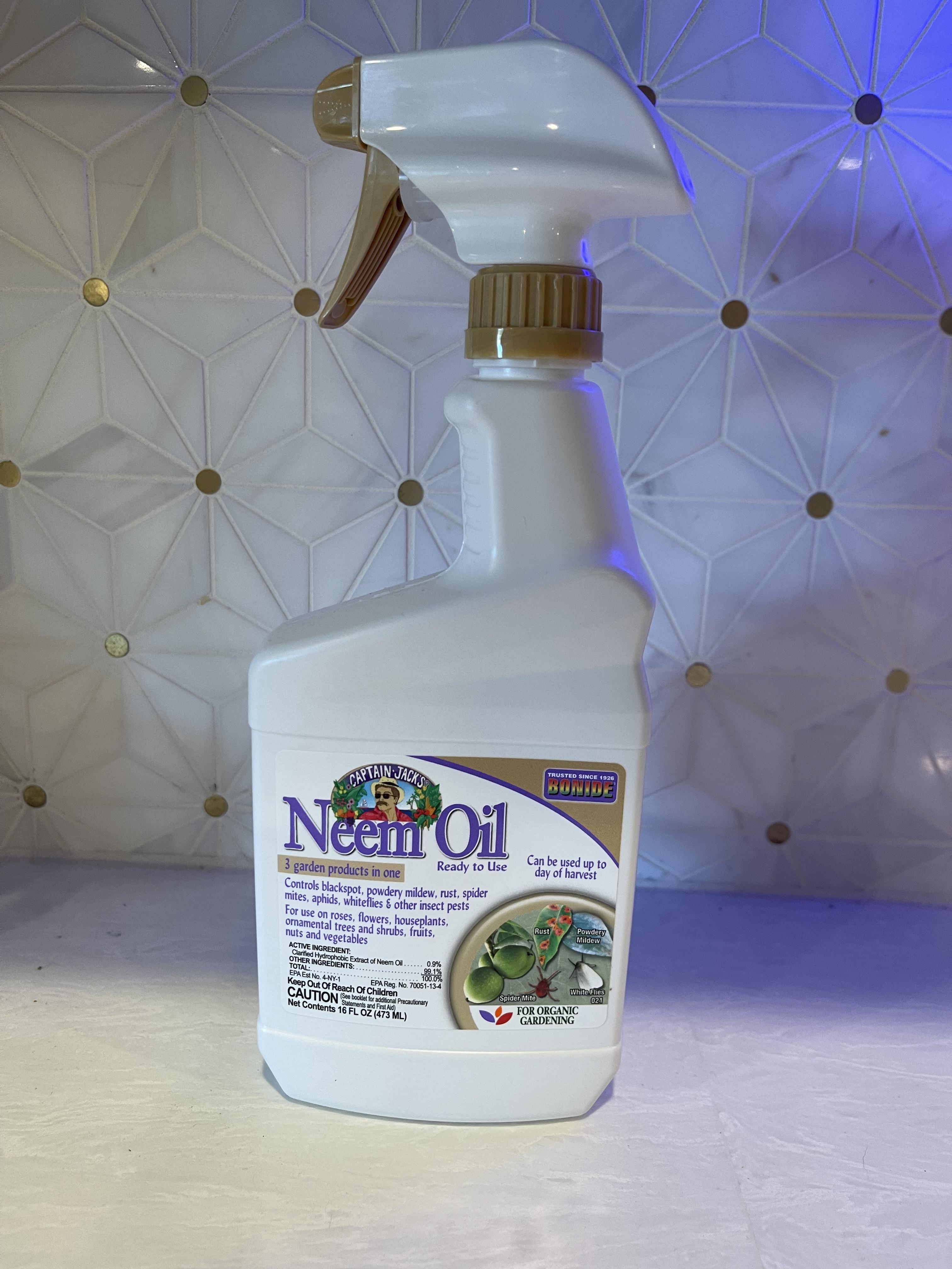 Neem oil to help gnats? r/houseplants