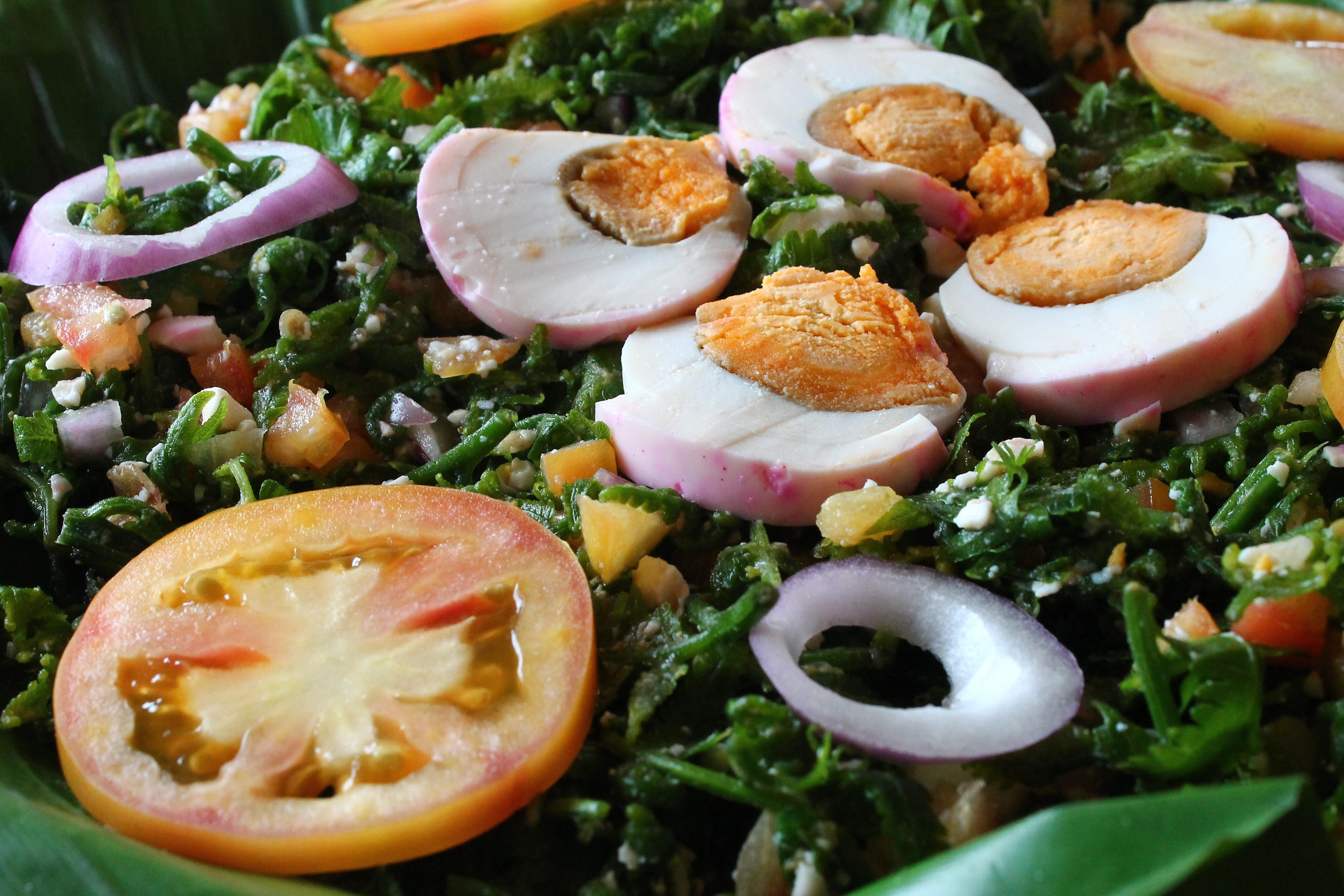 Pako Salad, San Pablo City, Laguna r/Philippines