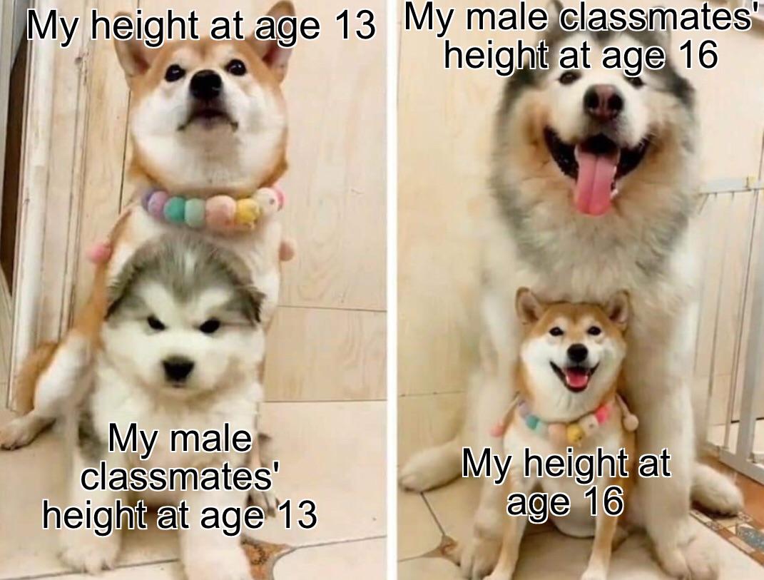 Once upon a time, I was considered tall... r/memes