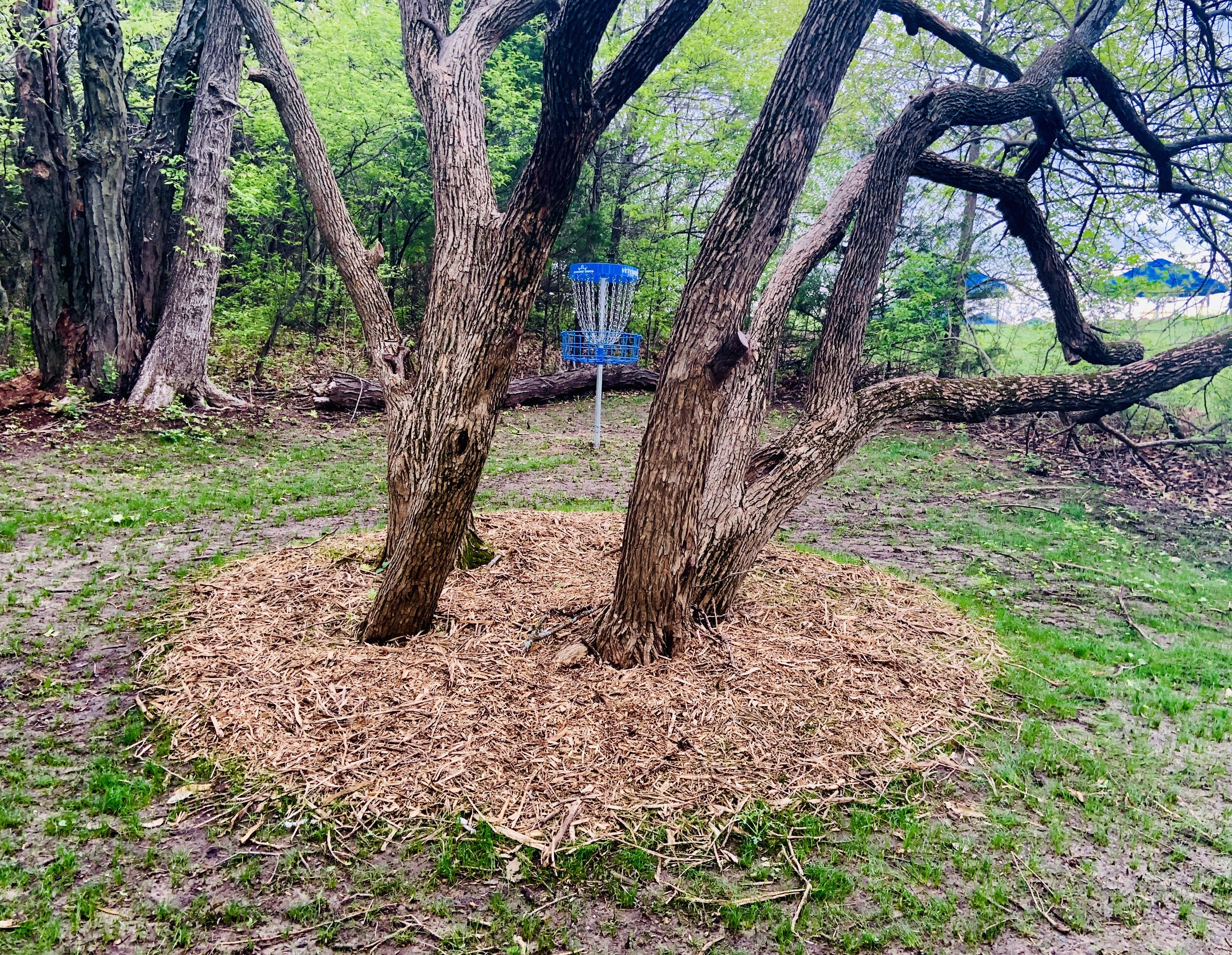 Cedar Ridge. Bonner Springs, KS. Super. Good. Course. r/discgolf