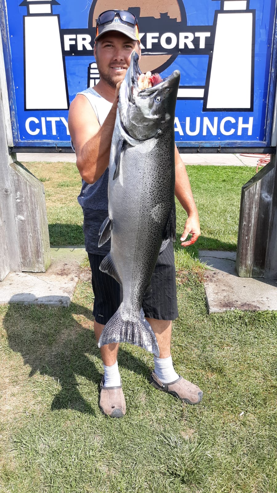 30lbs. King salmon. Lake mi. r/Fishing