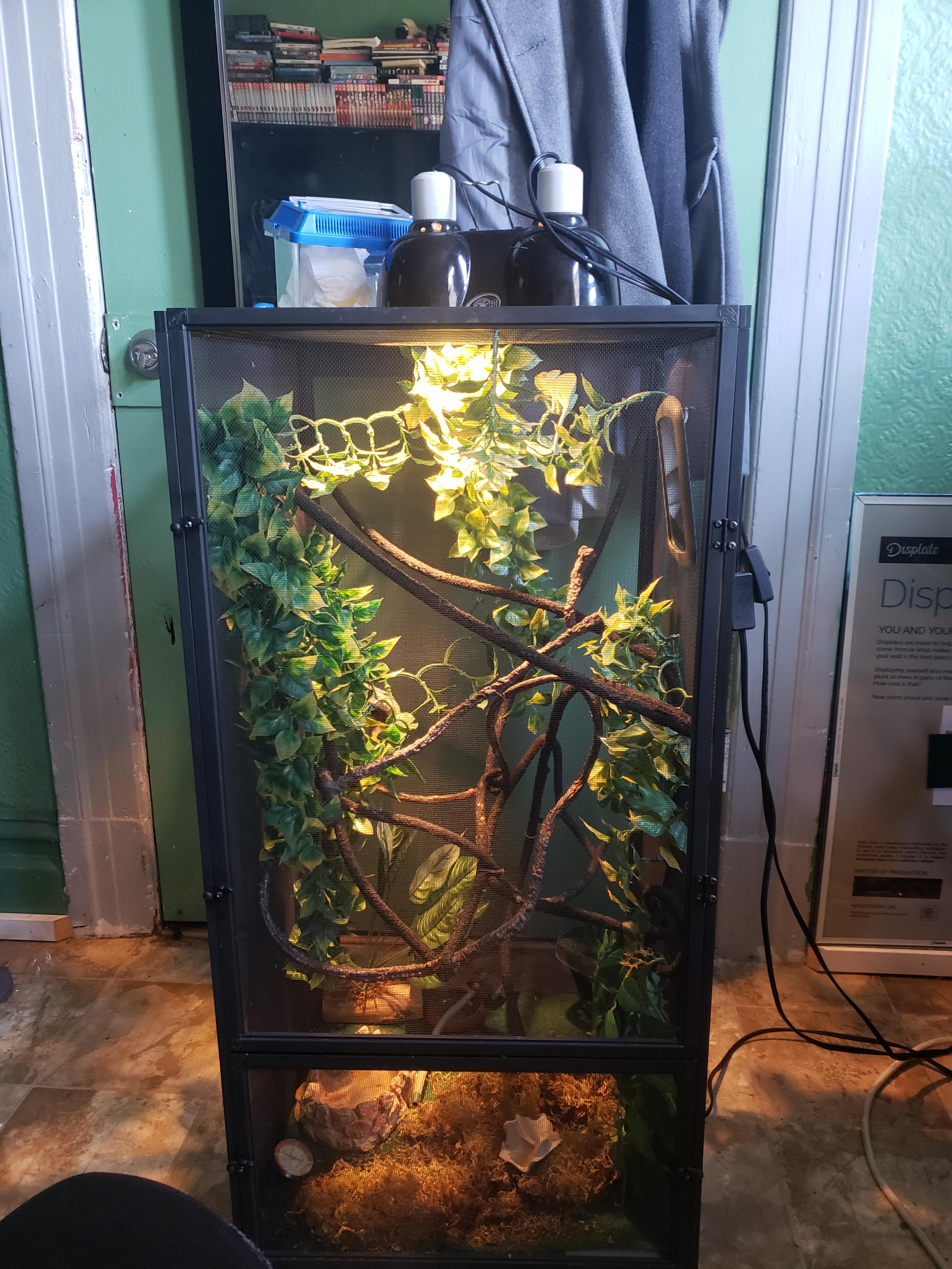 Any live plant All the leaves in there are fake r