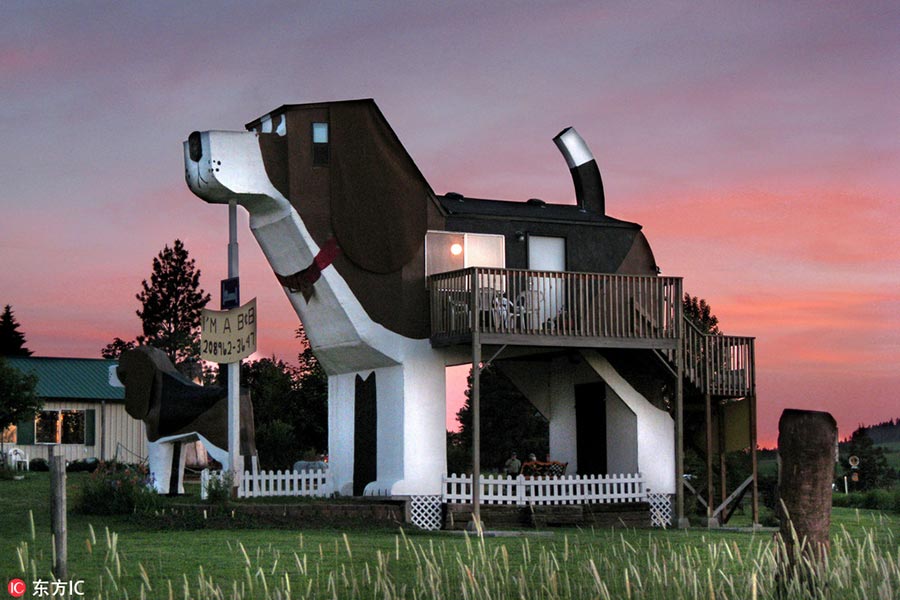 It's a dog house r/funny