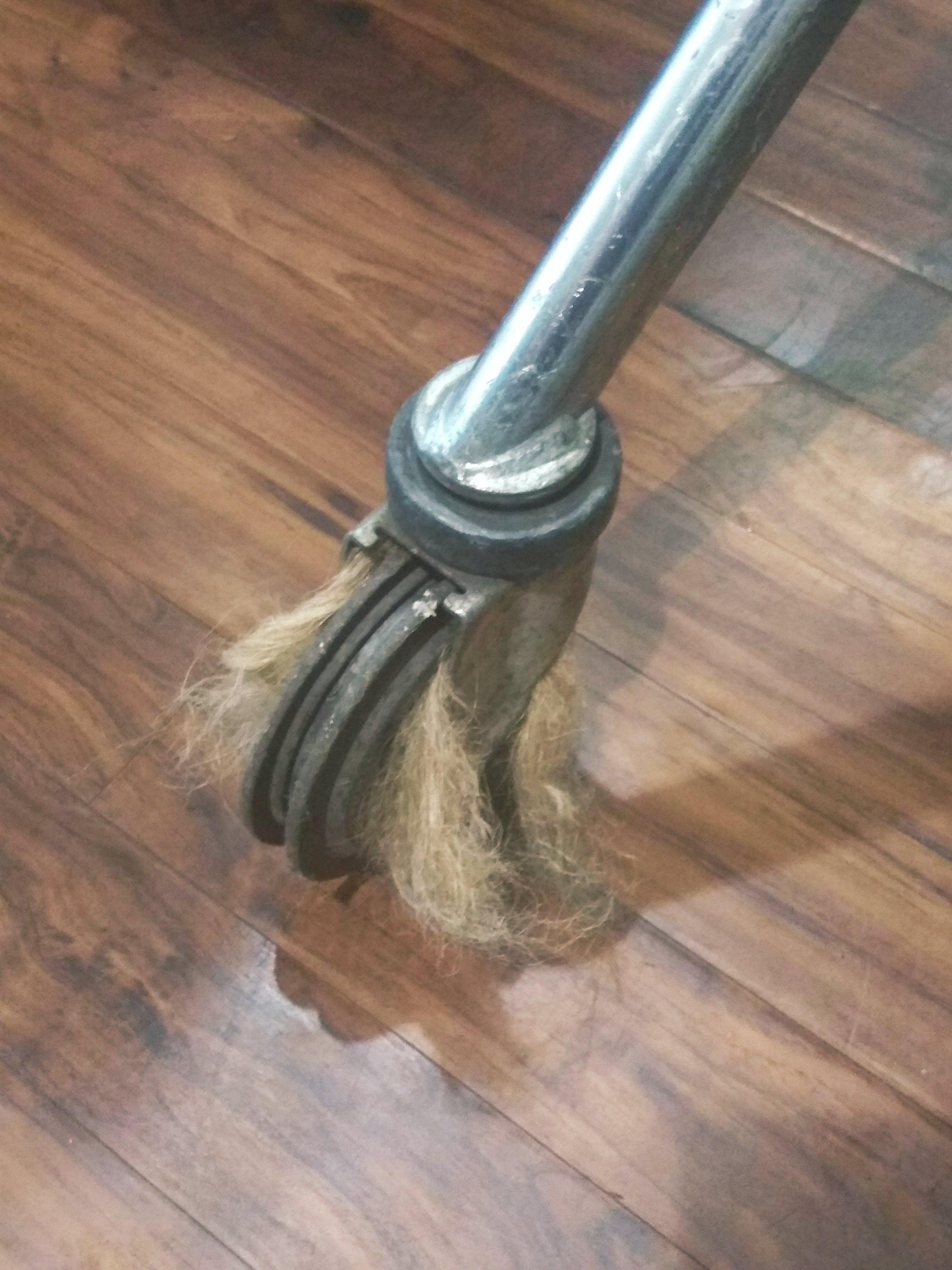 The amount of hair stuck in this shopping carts wheel. r/WTF