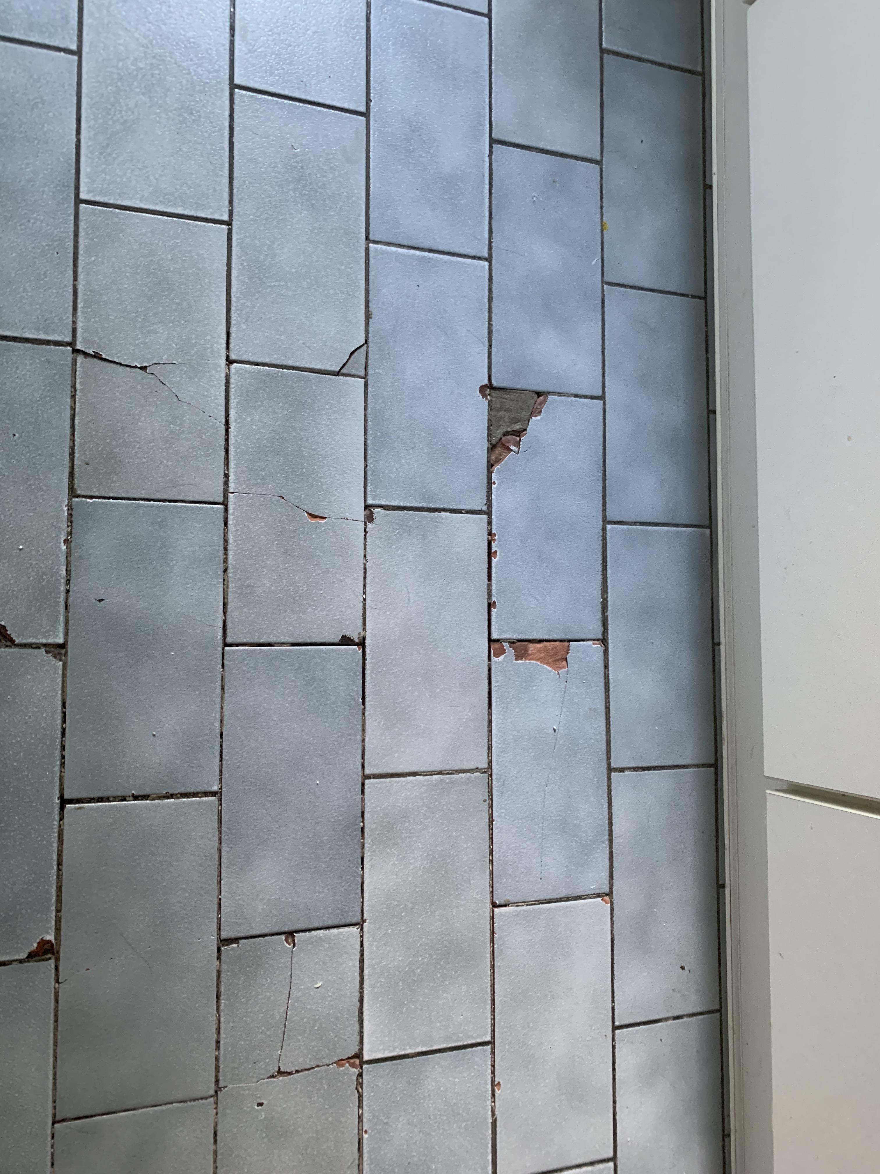 Replacing broken kitchen tiles? Partial or full needed? r/fixit