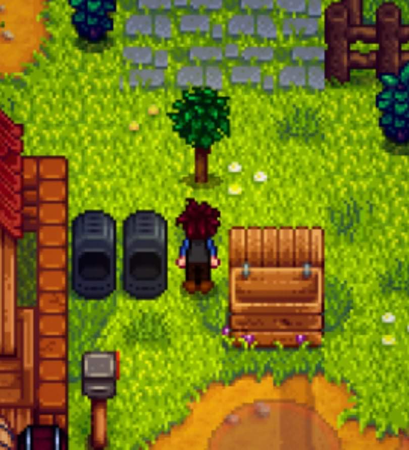 Did i just made a stupid mistake? Will this orange tree grow? I heard