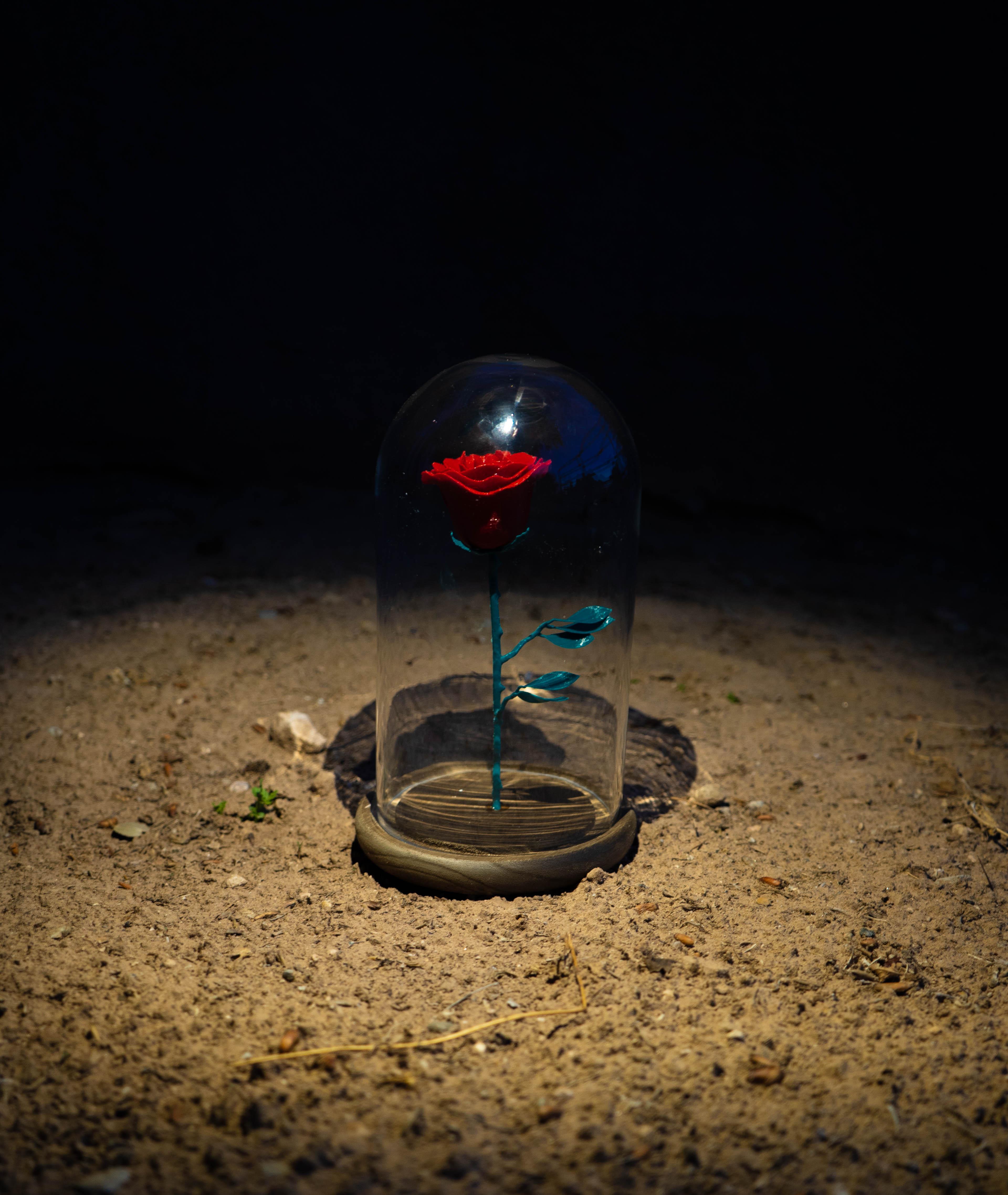 I found this vase and thought it would be perfect to recreate the rose from Beauty and the Beast