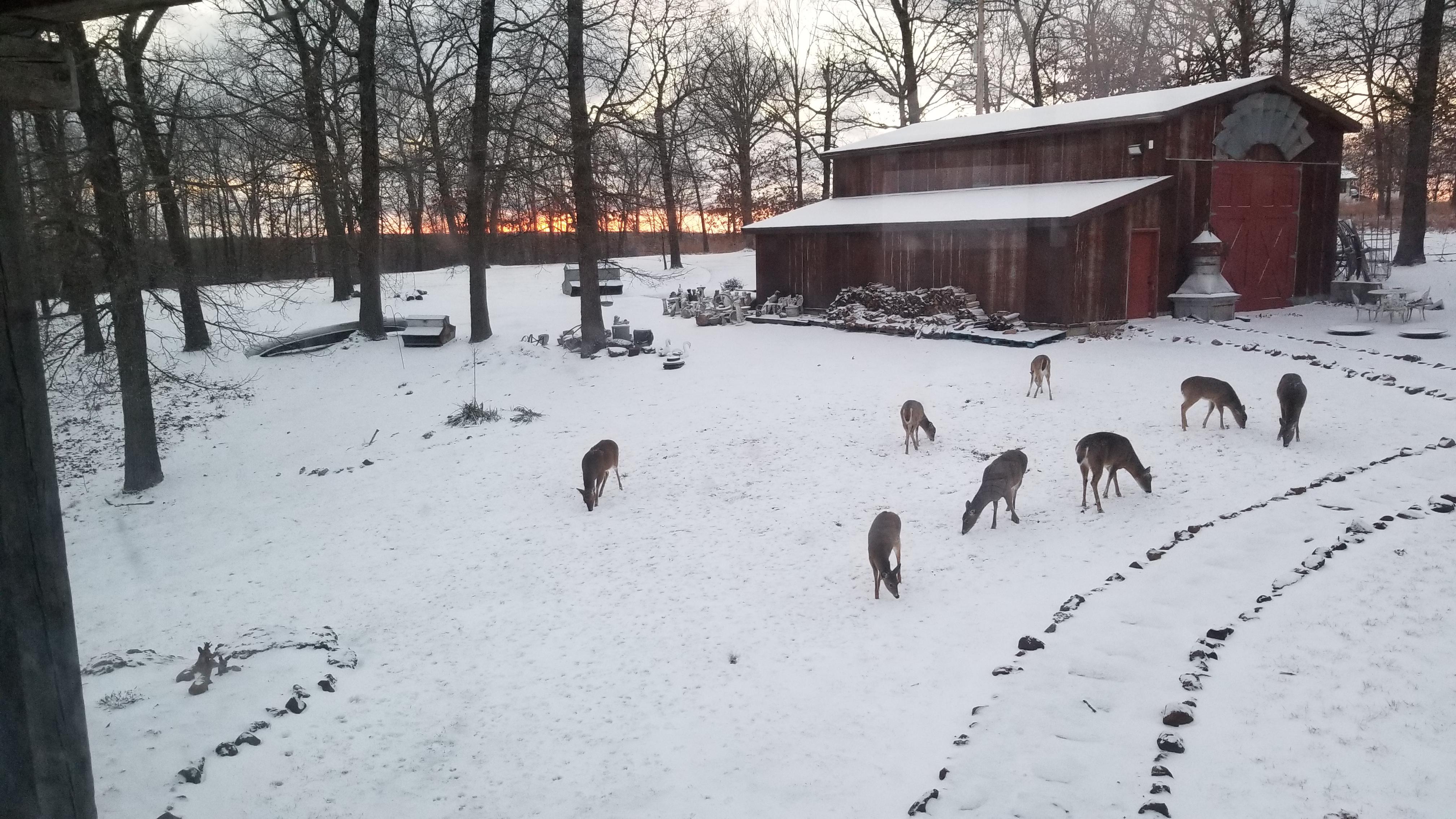 Wintery Winter in Camdenton Missouri. (OC) r/ruralporn