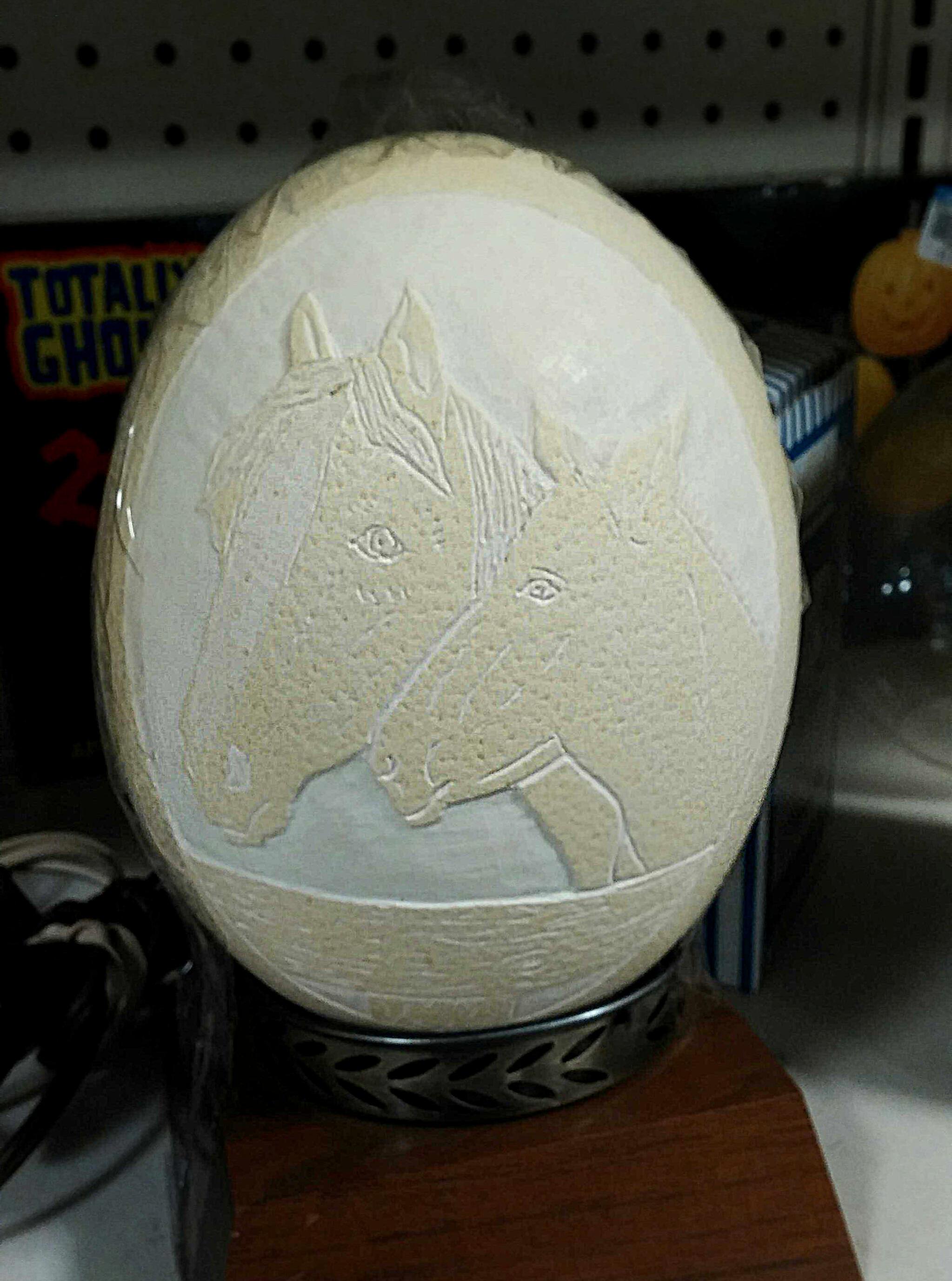 17 best r/horseeggs images on Pholder The magic moment when a new