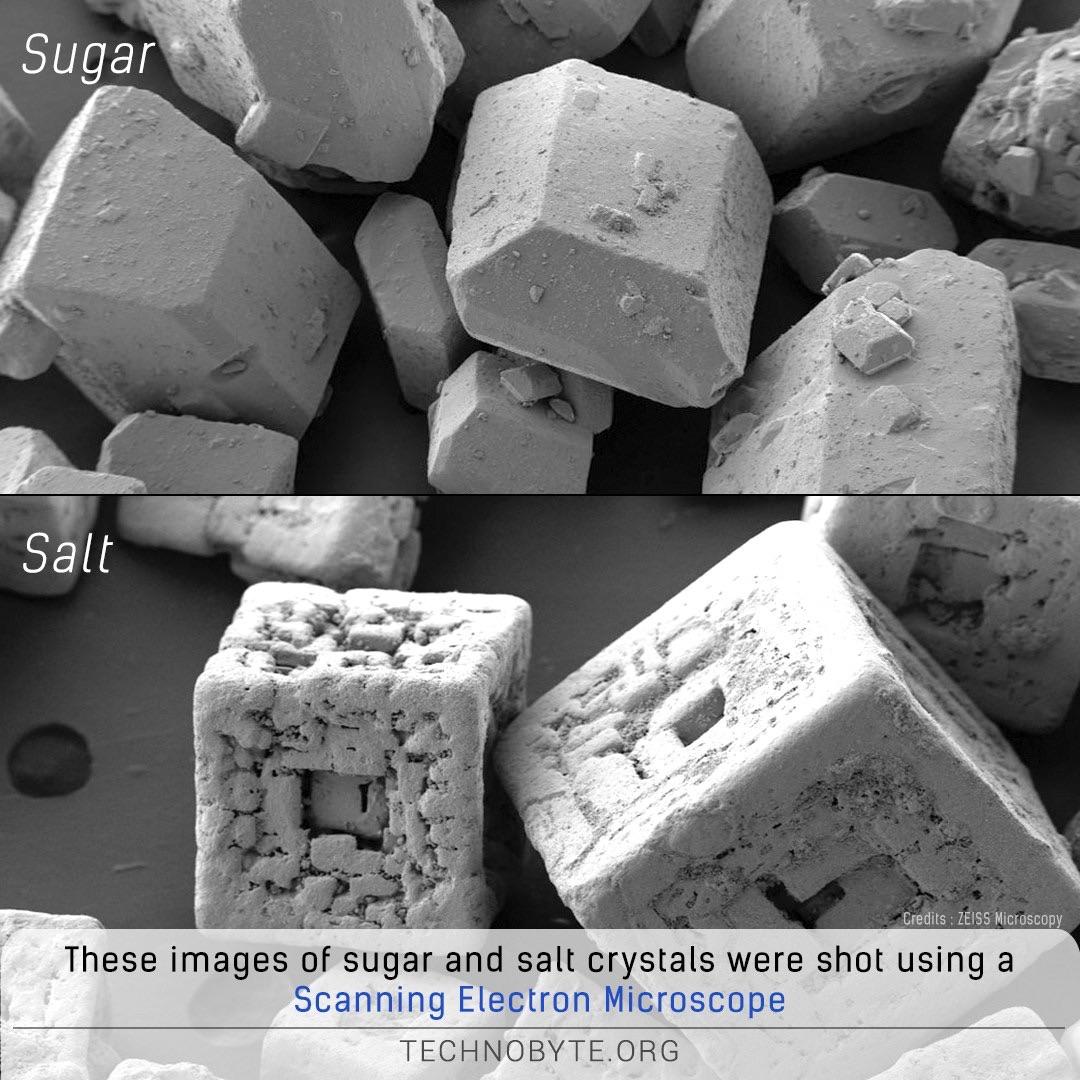 Sugar Crystal Microscope