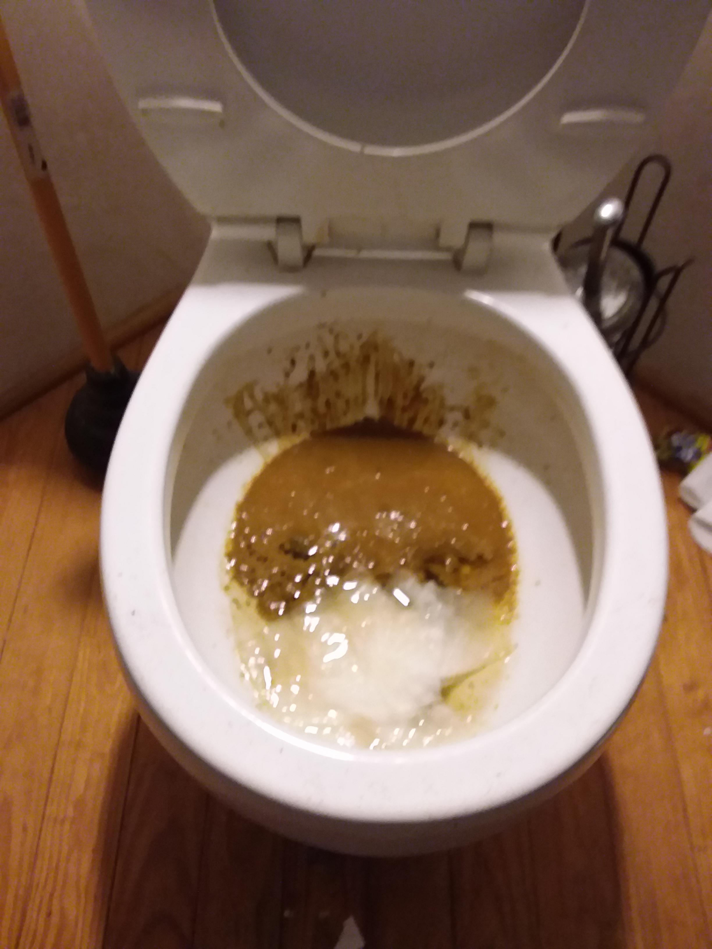 A shitty toilet r/toilet