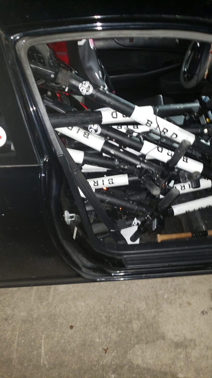 18 birds, honda civic 2 door, 4 are in the trunk. could