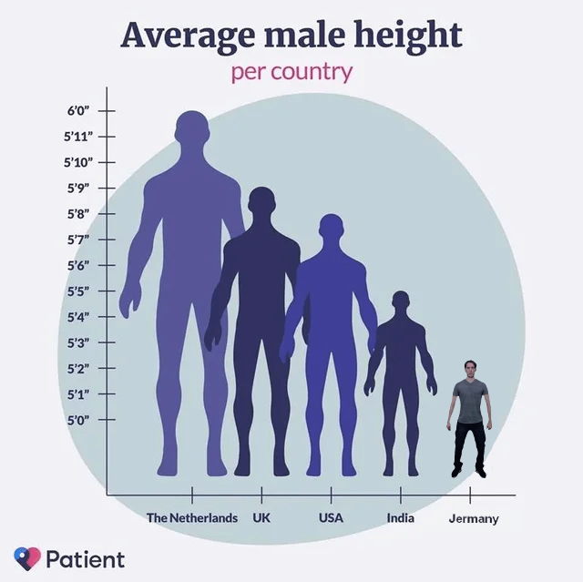 jerma height to scale r/jerma985