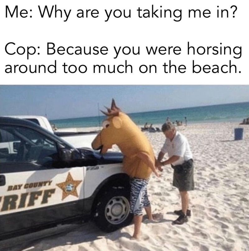 48 Hilarious Horse Around Puns Punstoppable 🛑