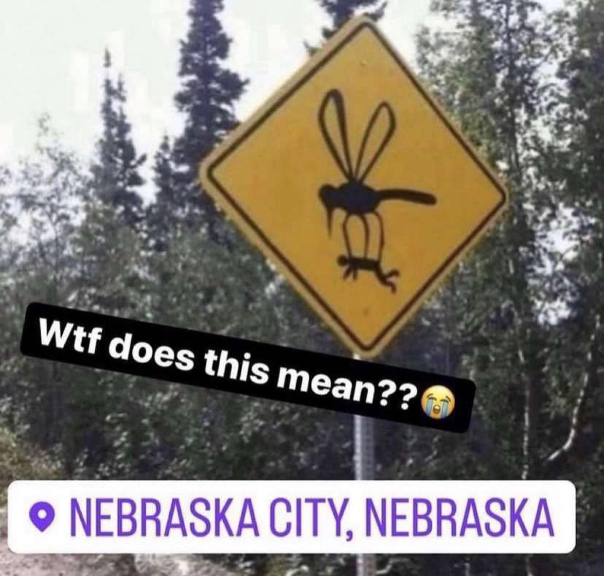 What going on In Nebraska r/memes