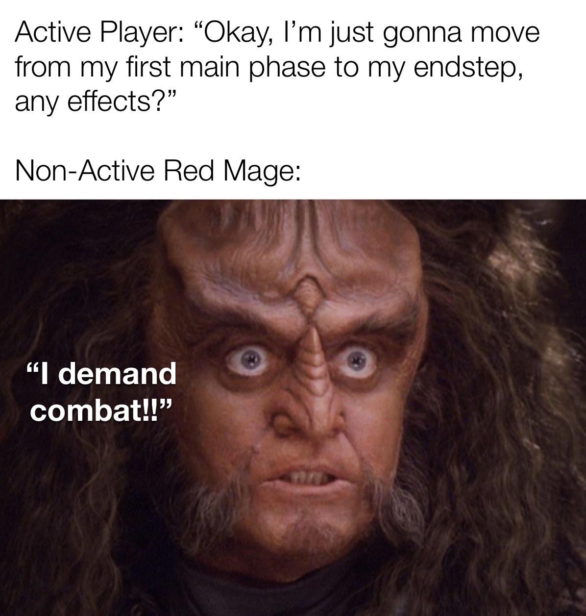 WE ARE BORN, RED MAGES LIVE AS WARRIORS, THEN DIE! magicthecirclejerking