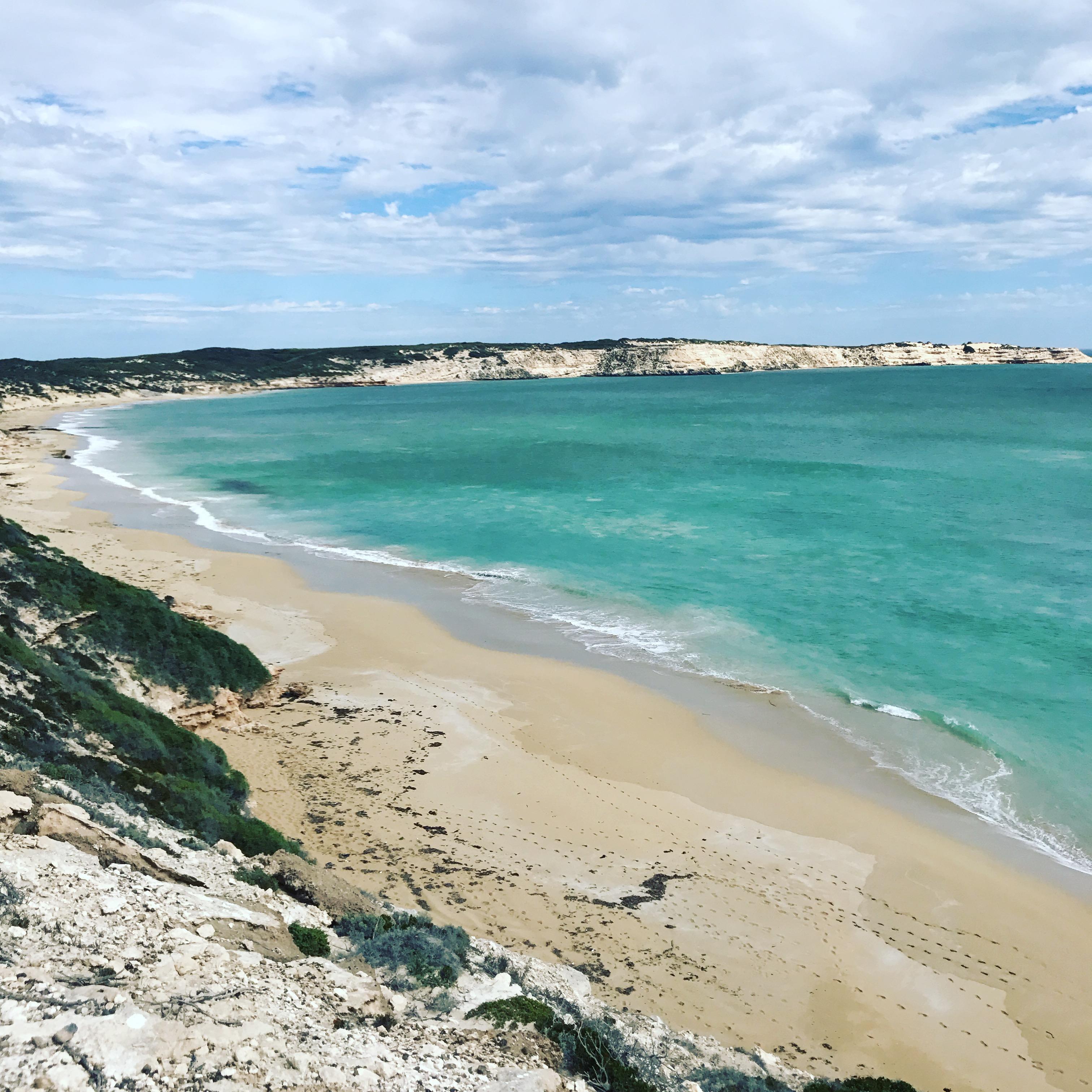I came across this beauty of a spot in Coffin Bay National Park today