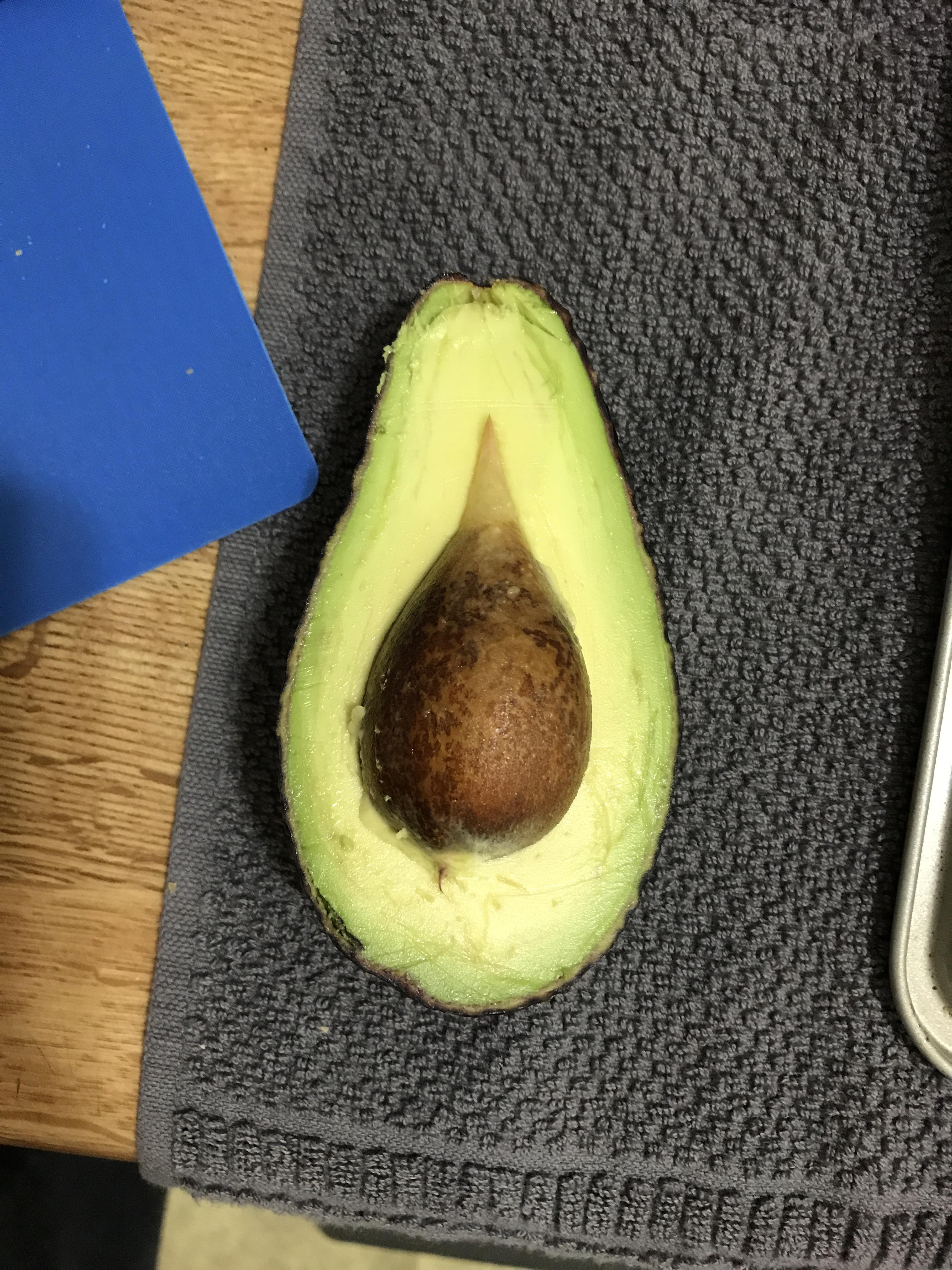 Avocado started sprouting a new avocado inside the avocado r