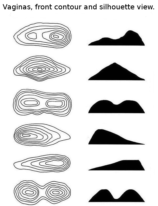A Topographic Map And An Incorrectly Constructed Profile Topographic maps OddlyErotic
