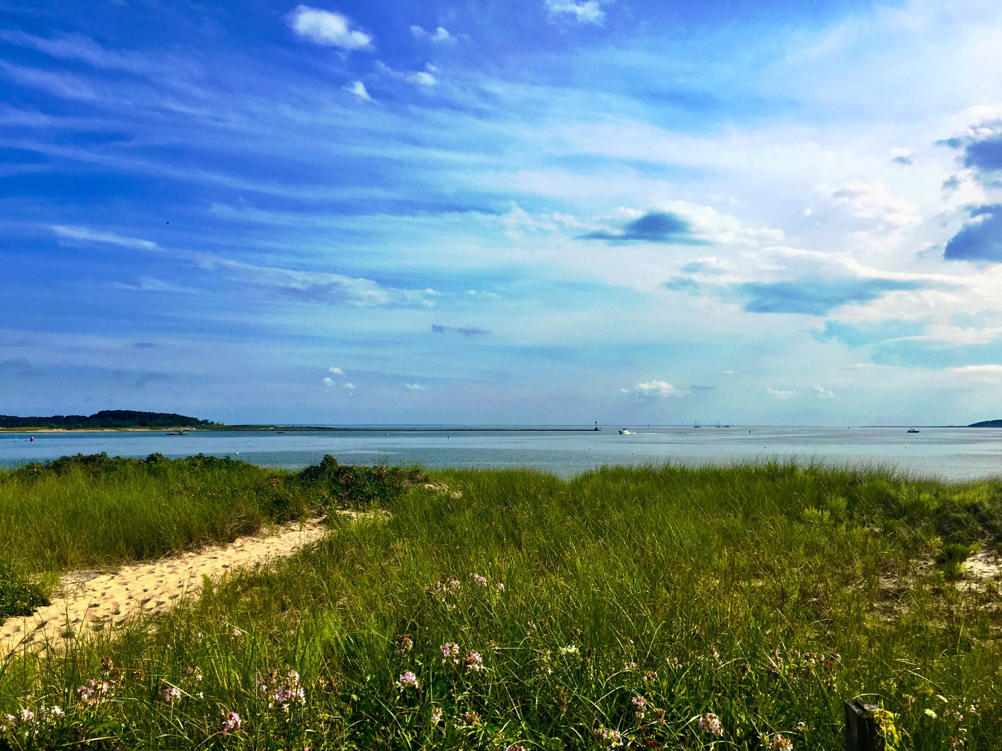 Harbor, Wellfleet, Massachusetts [OC] [4032 X 3024] r