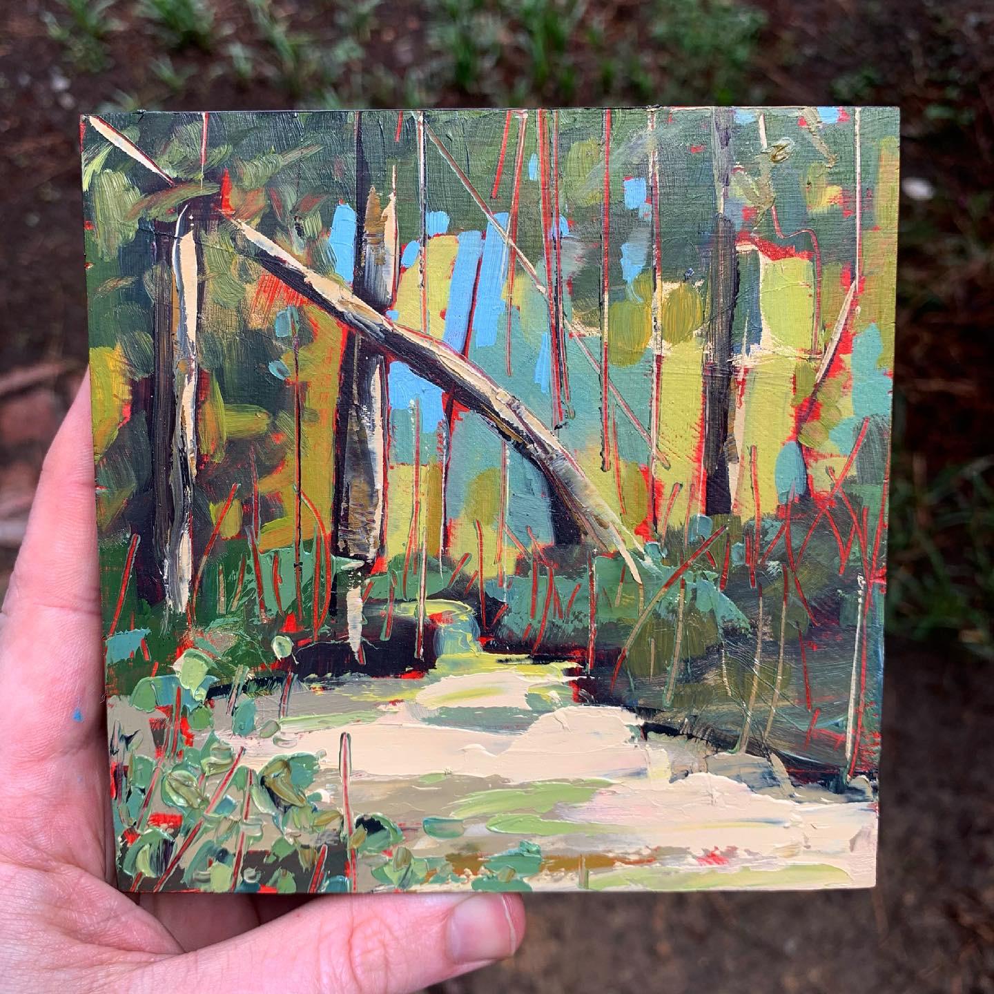 Hollow Rock Nature Park inspired. Super cool trail to hike in Durham NC