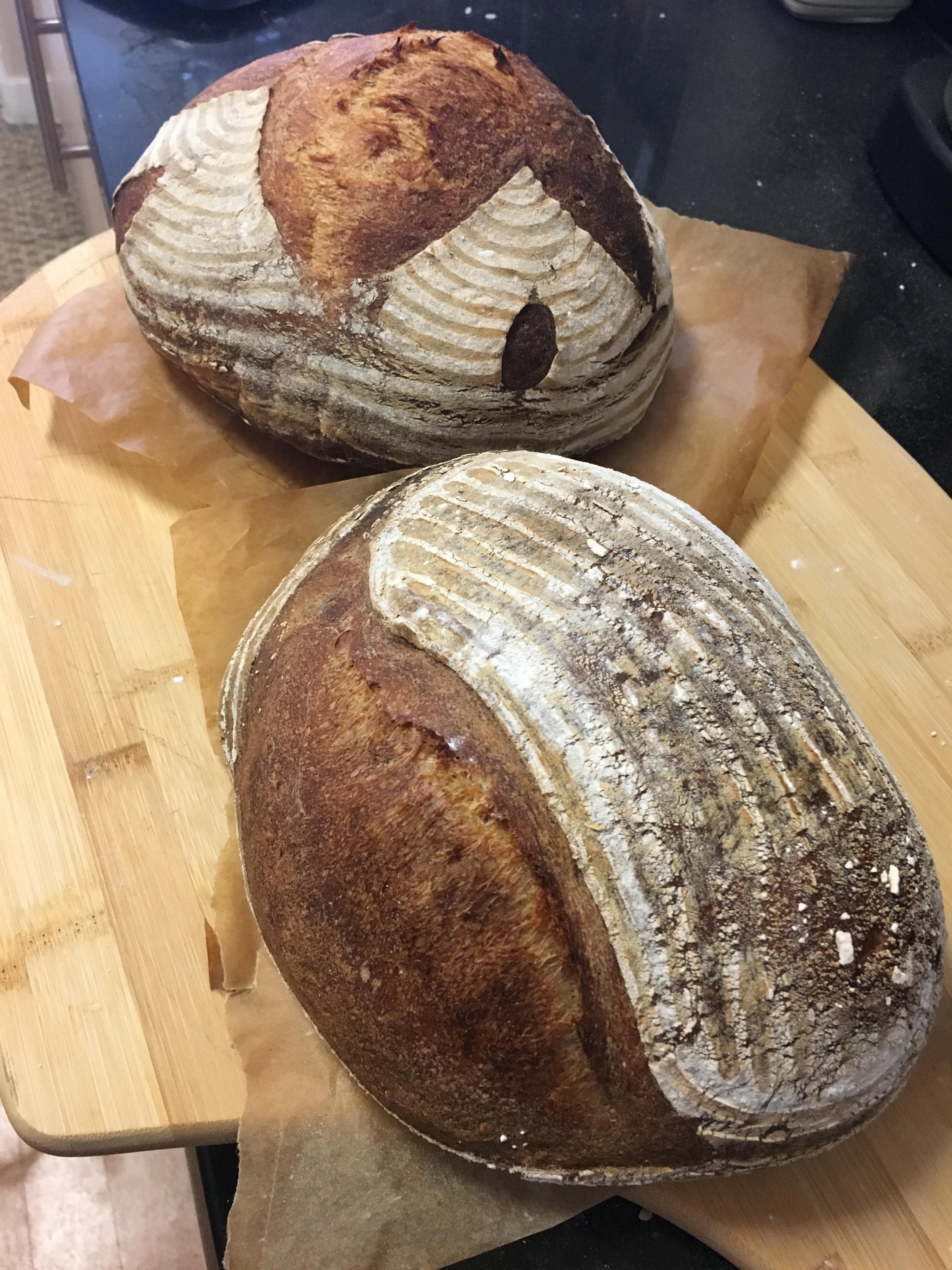 I made mead bread! With wine yeast! It turned out beautifully but man