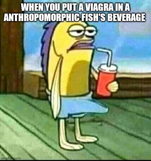 give the fish a boner r/antimeme