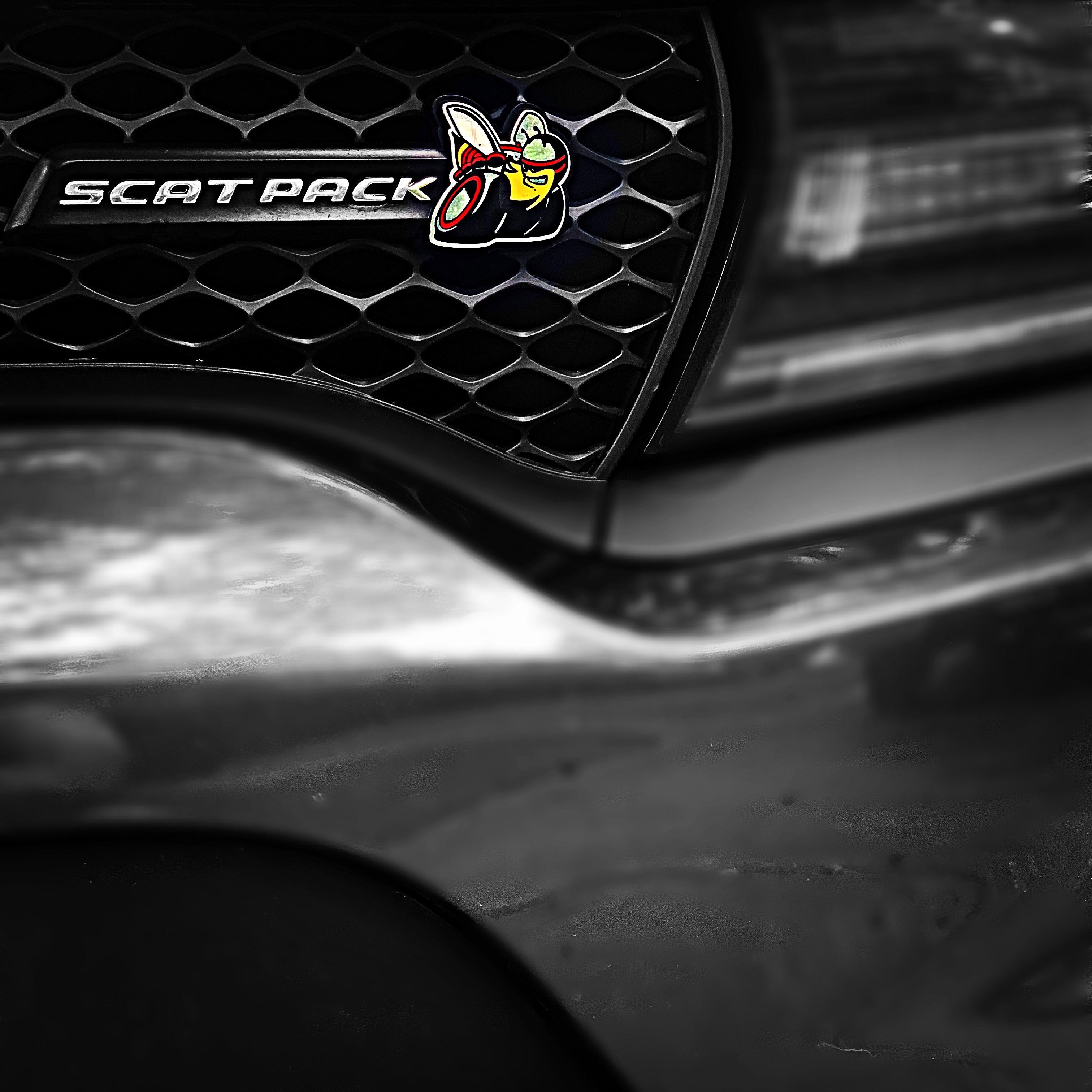Scat pack r/ScatPack392