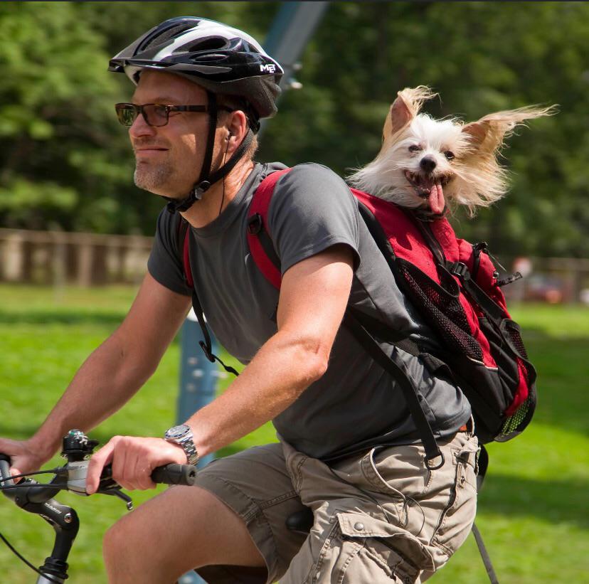 PsBattle Backpack Dog on Bike