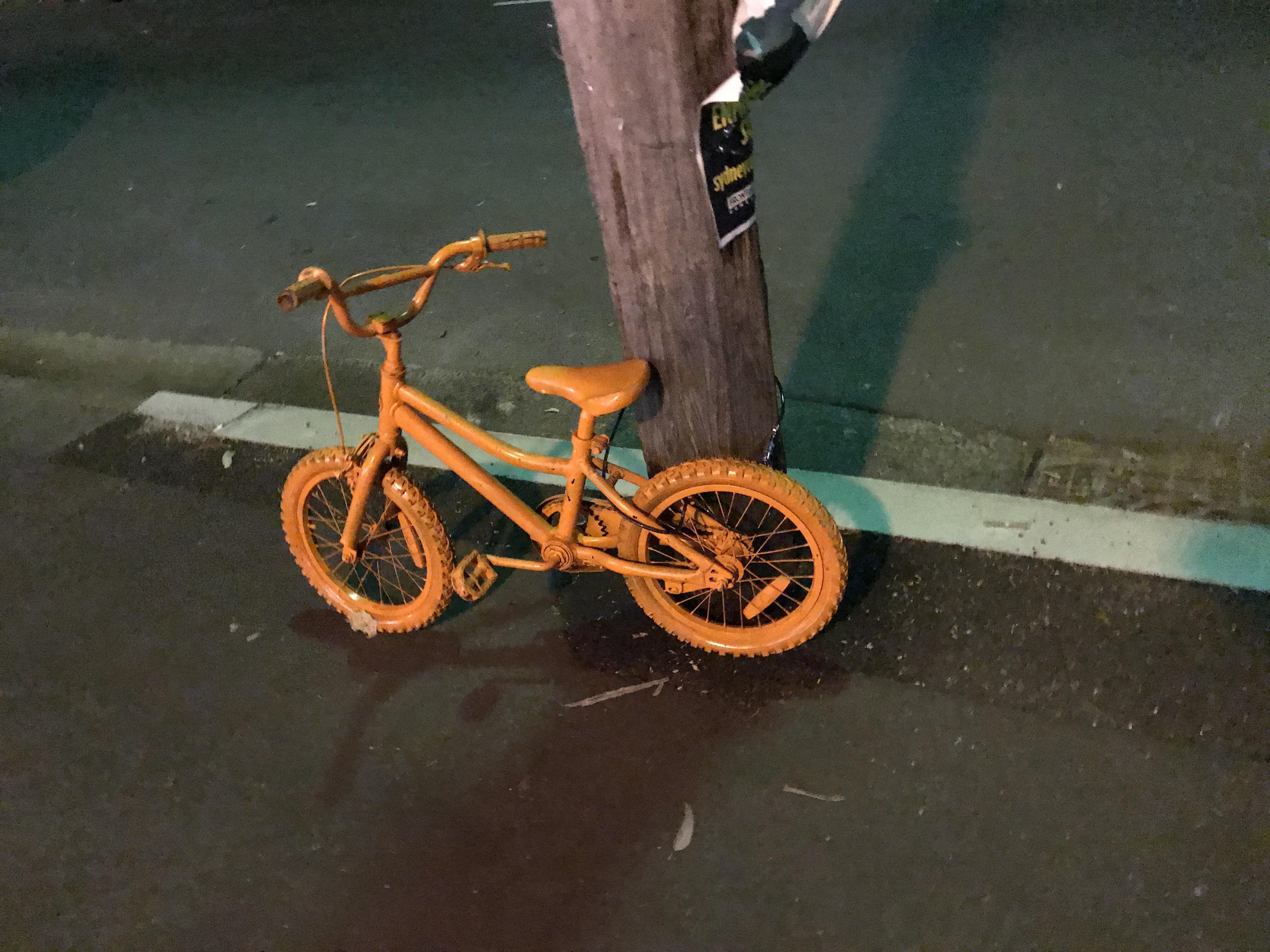 Anyone know what these orange bikes are about? Saw a couple of them