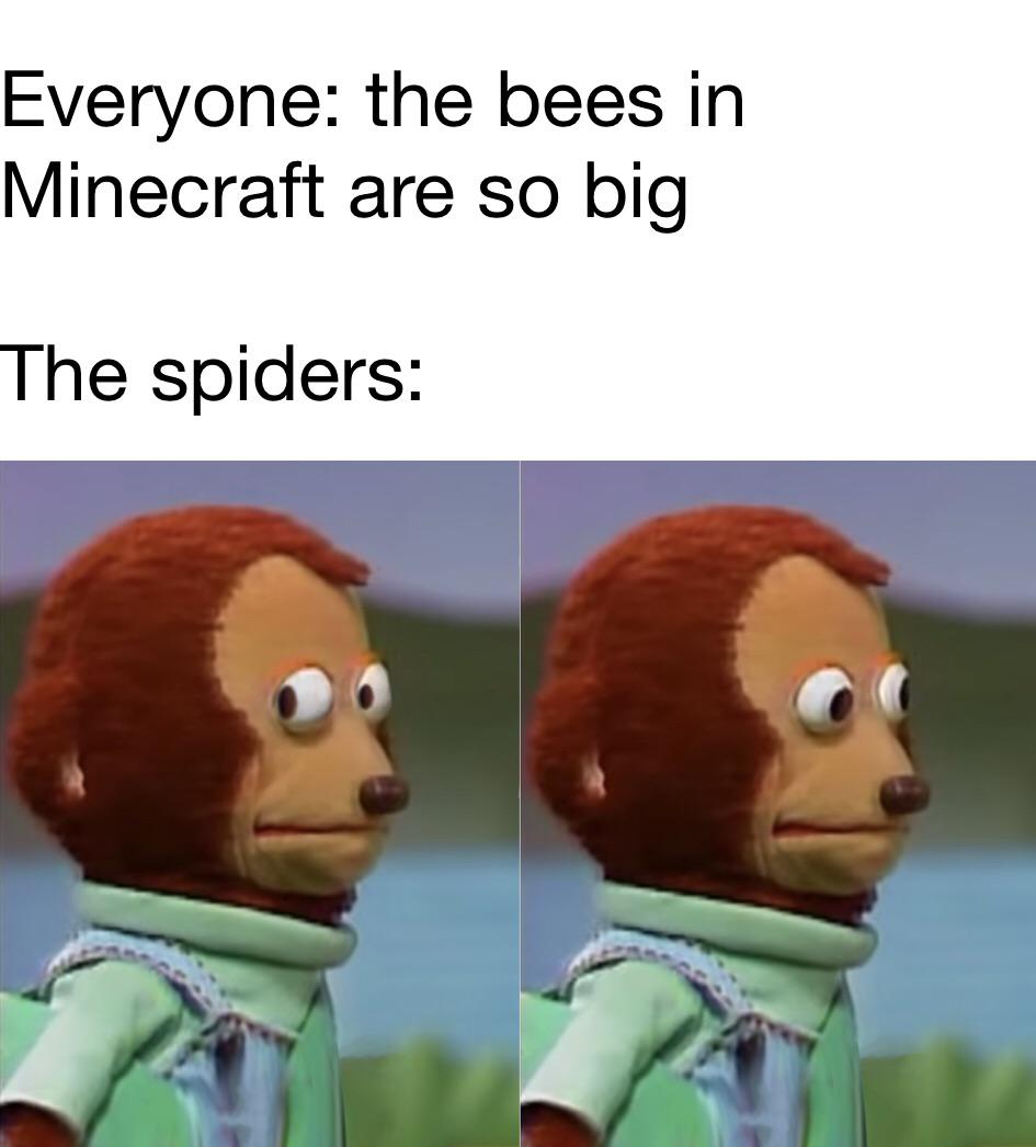 Australian spiders memes