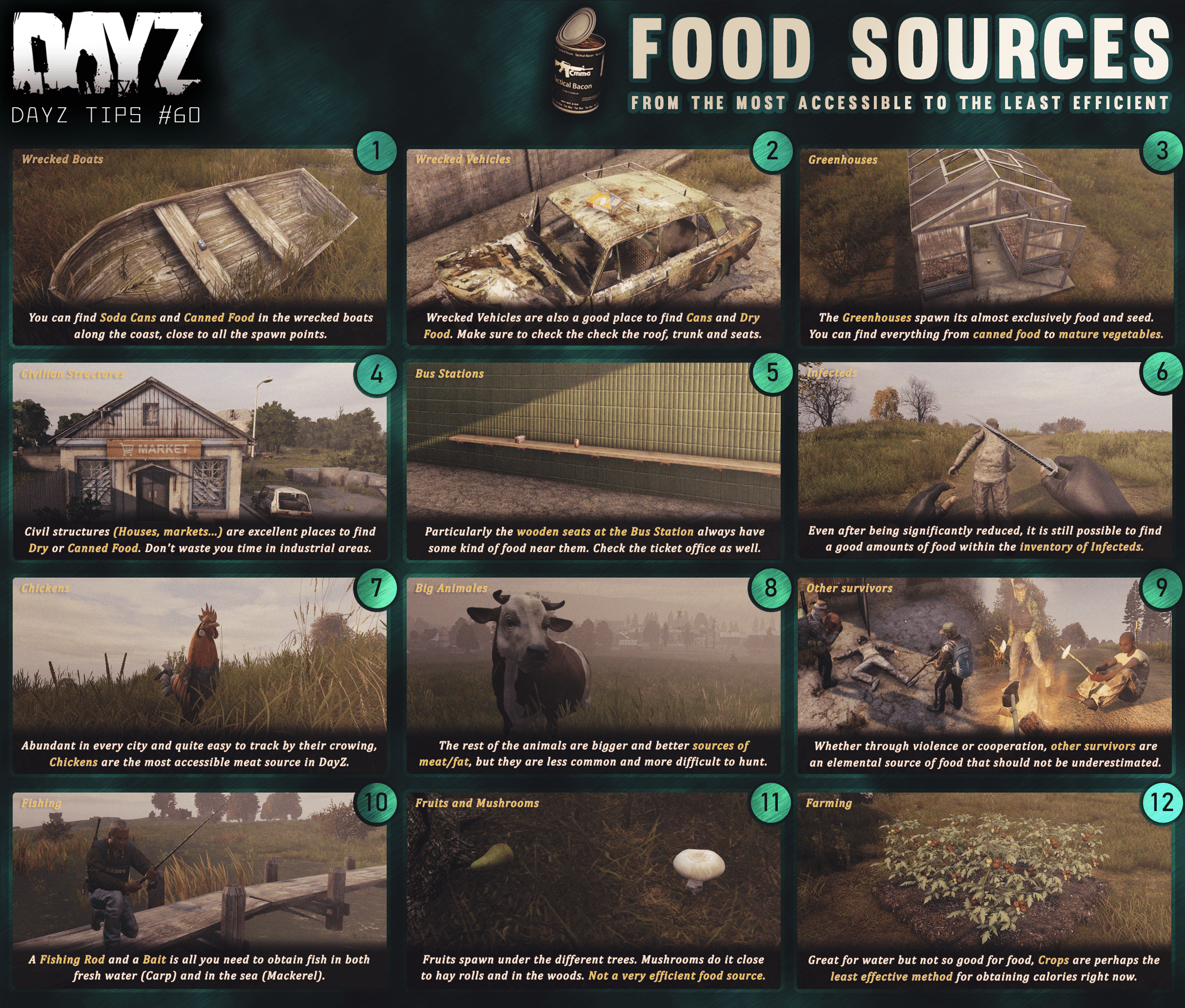 Top 96+ Pictures How To Fix Cars In Dayz Completed