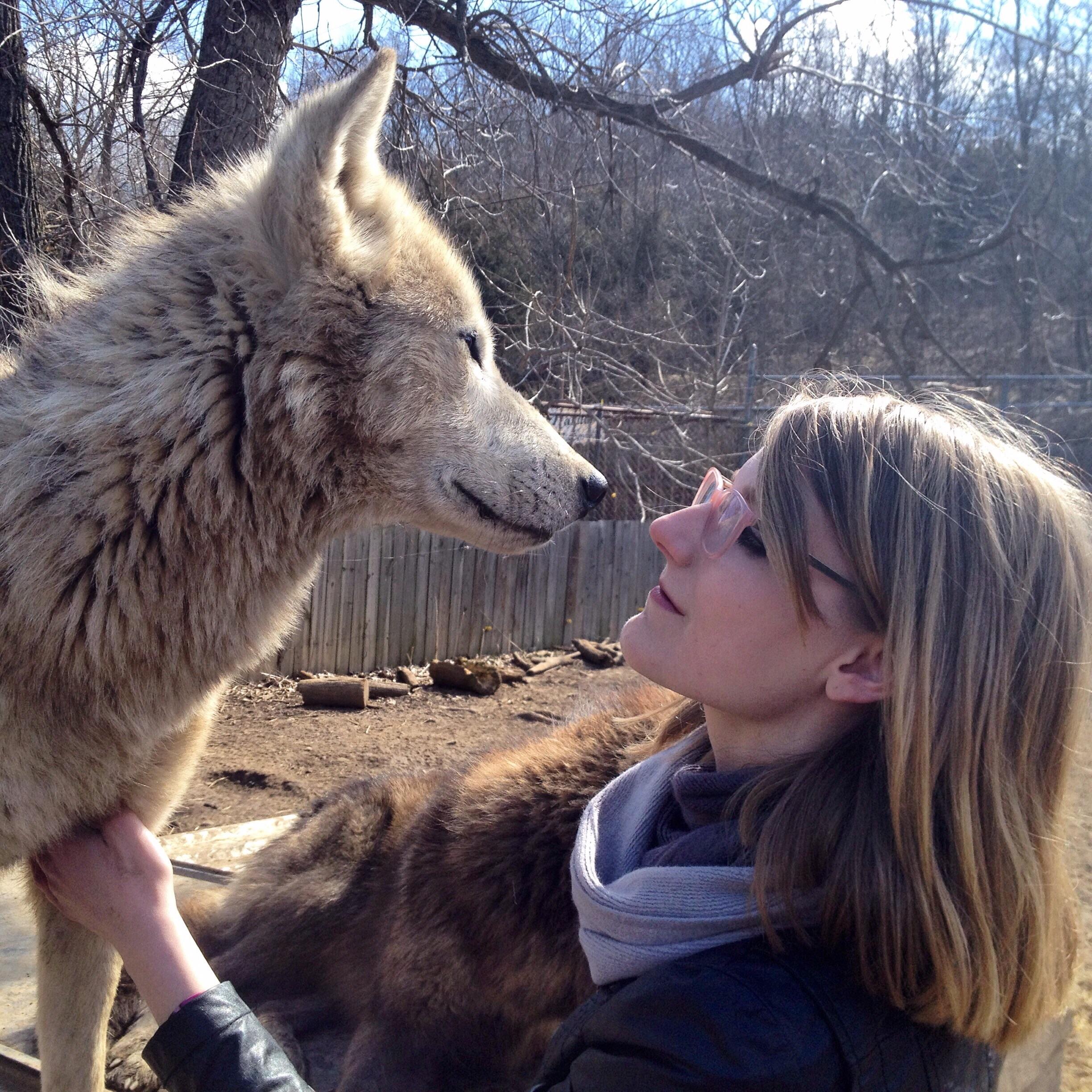 I finally got to visit the wolf sanctuary that's near me again and see