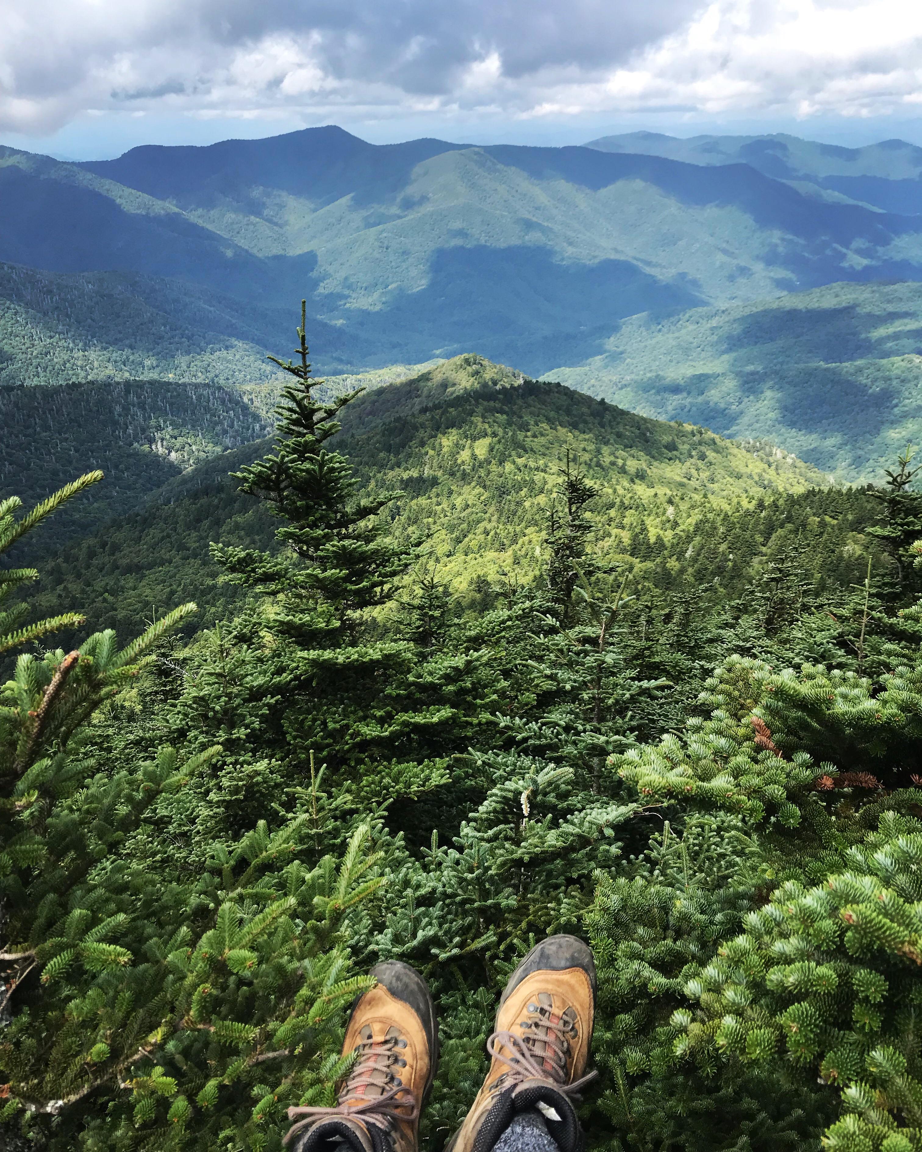 Mt. Craig, North Carolina. Second highest peak on the East Coast. r