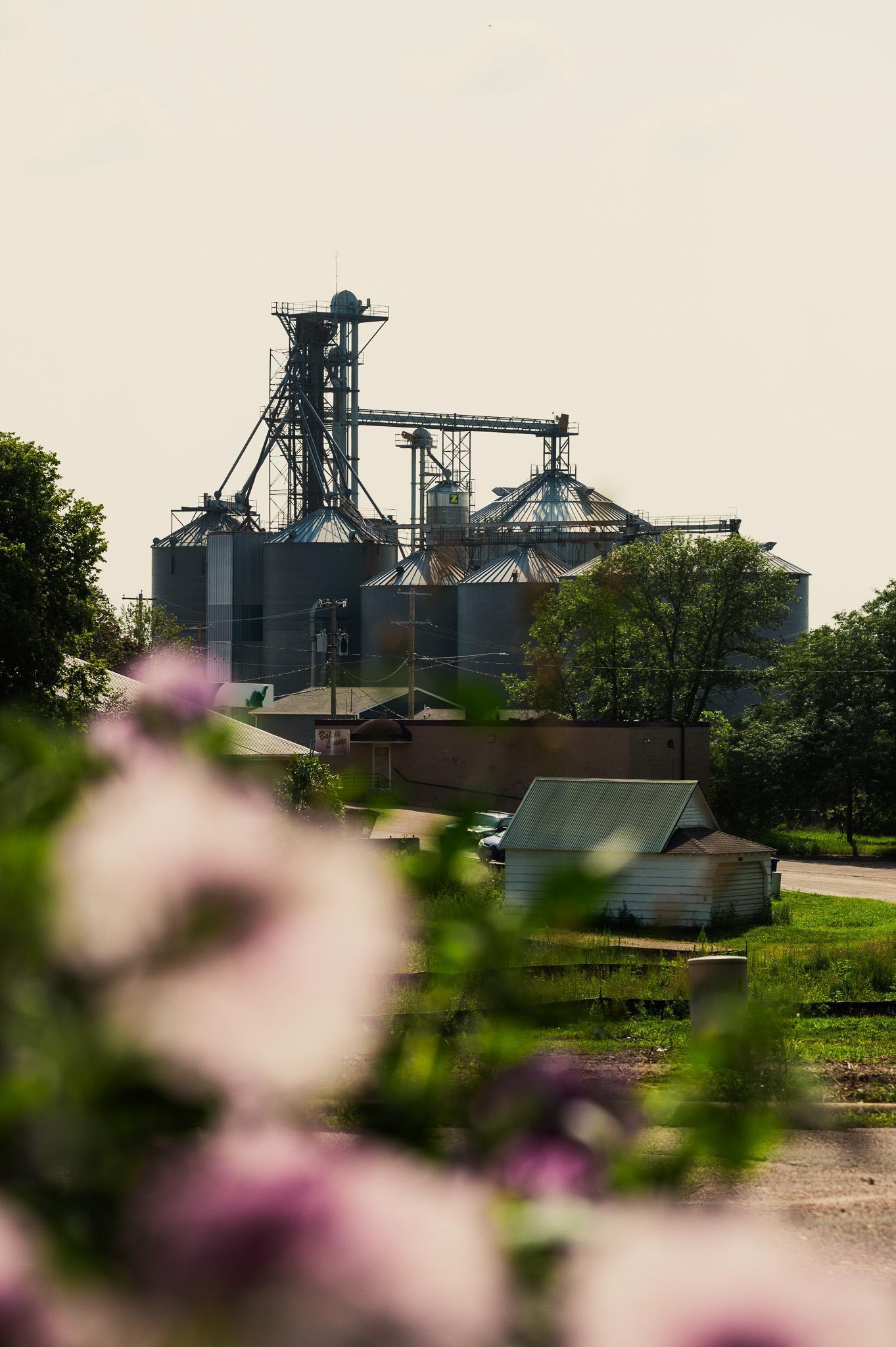 Living off the land in Baltic, South Dakota [OC] [4024x6048] r