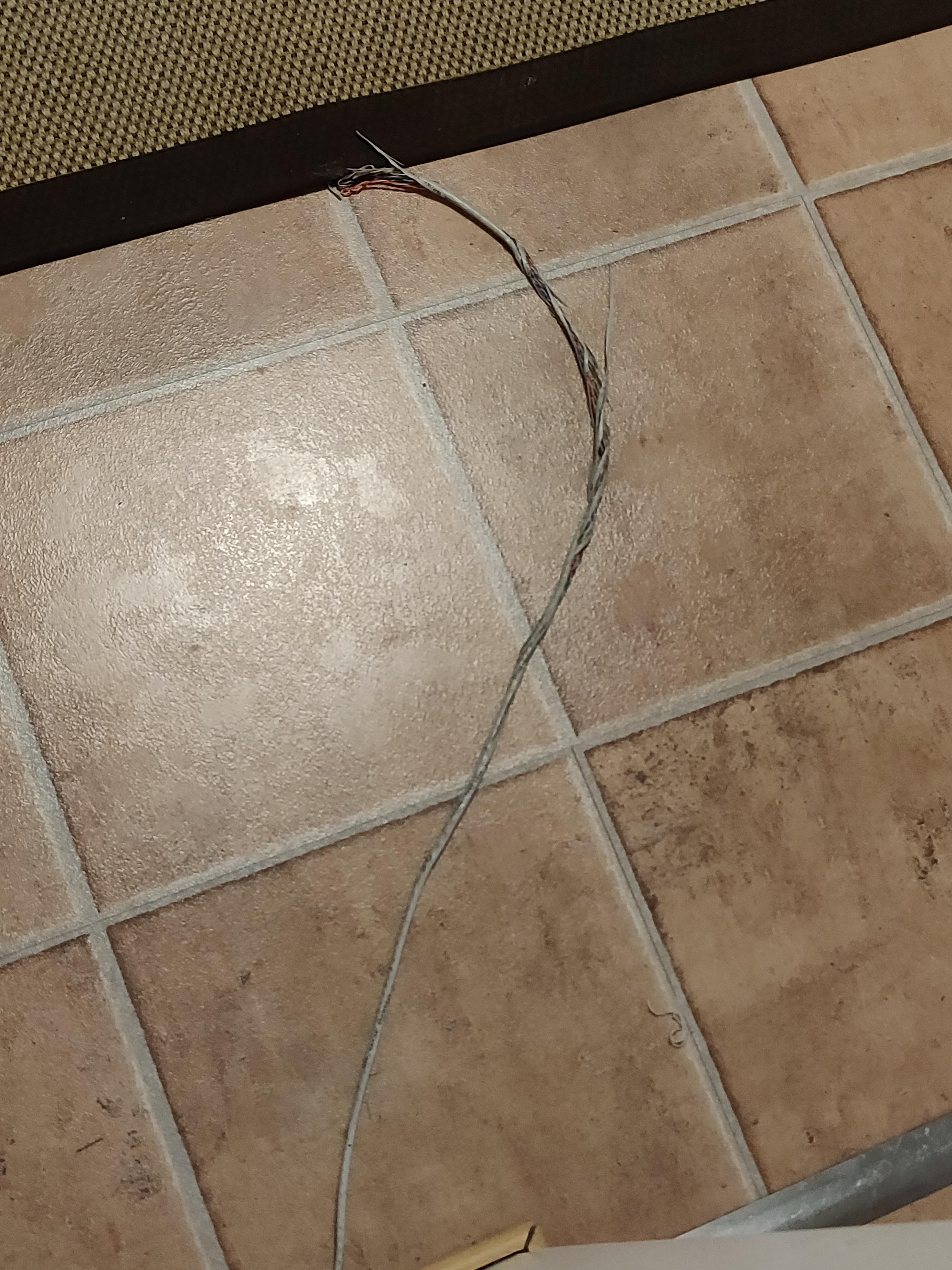 The cable going across the floor at my mother's house r
