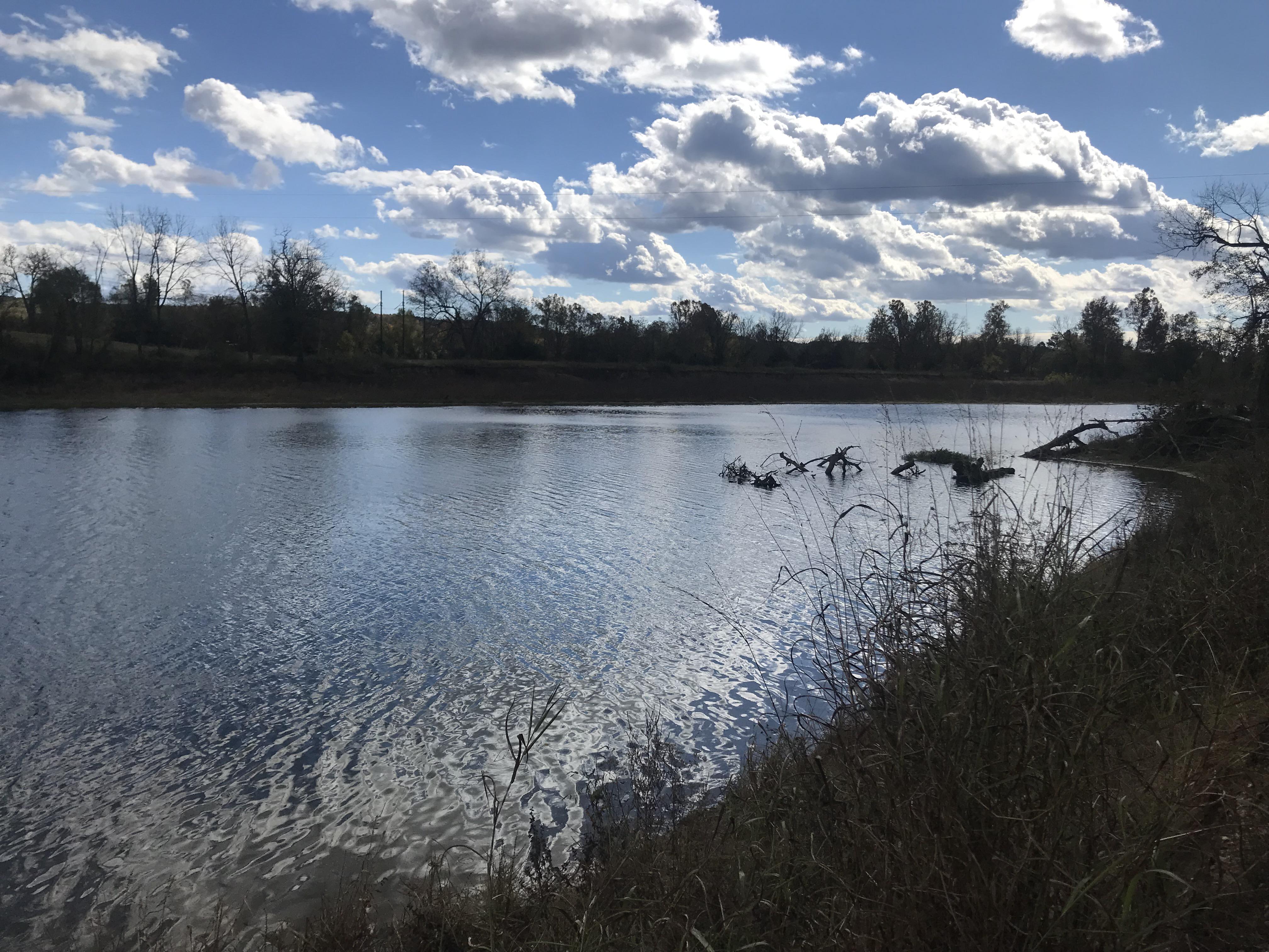 Illinois River today, Oklahoma is beautiful. r/oklahoma
