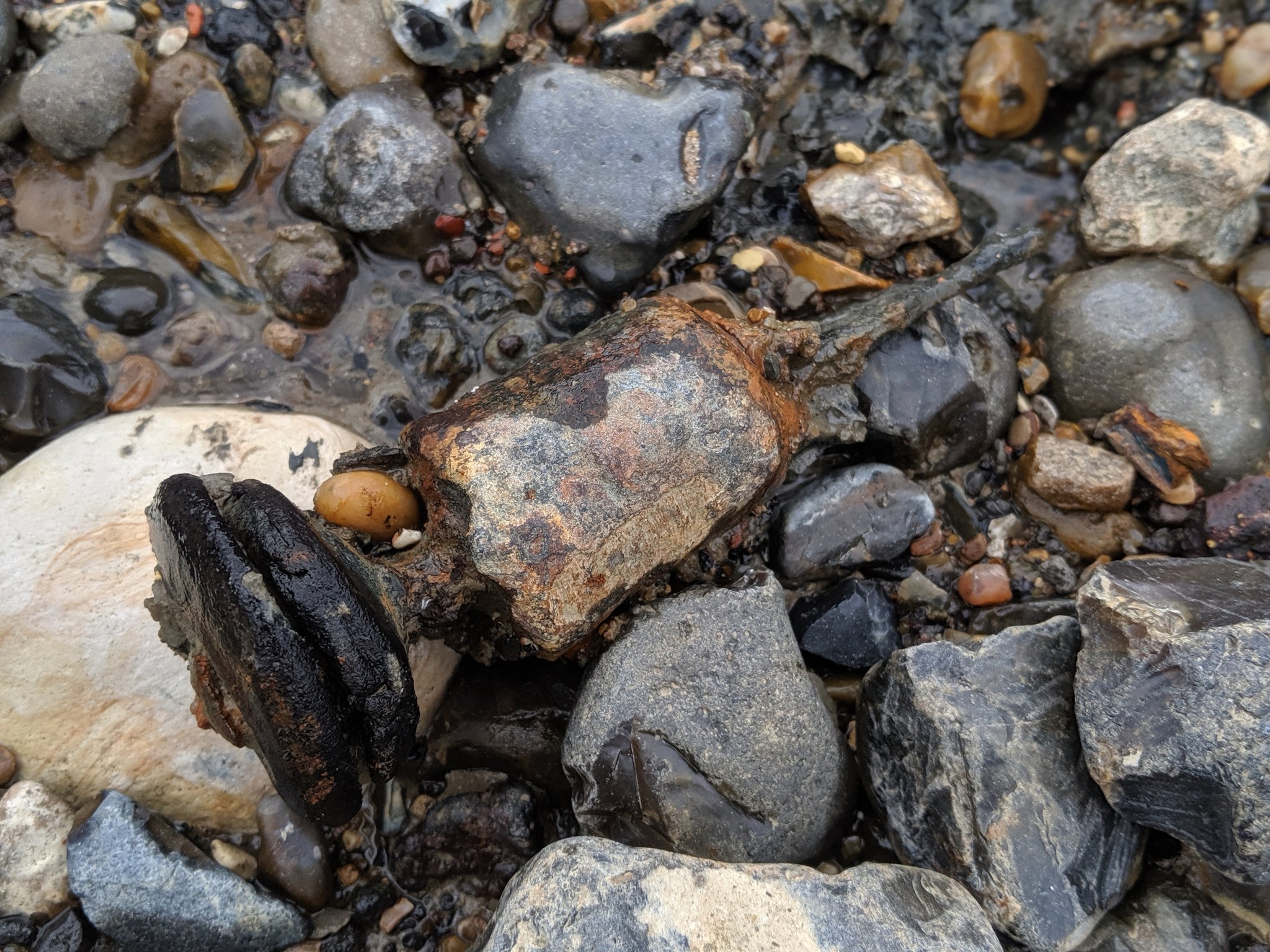 Syringe type thing whatisthisthing