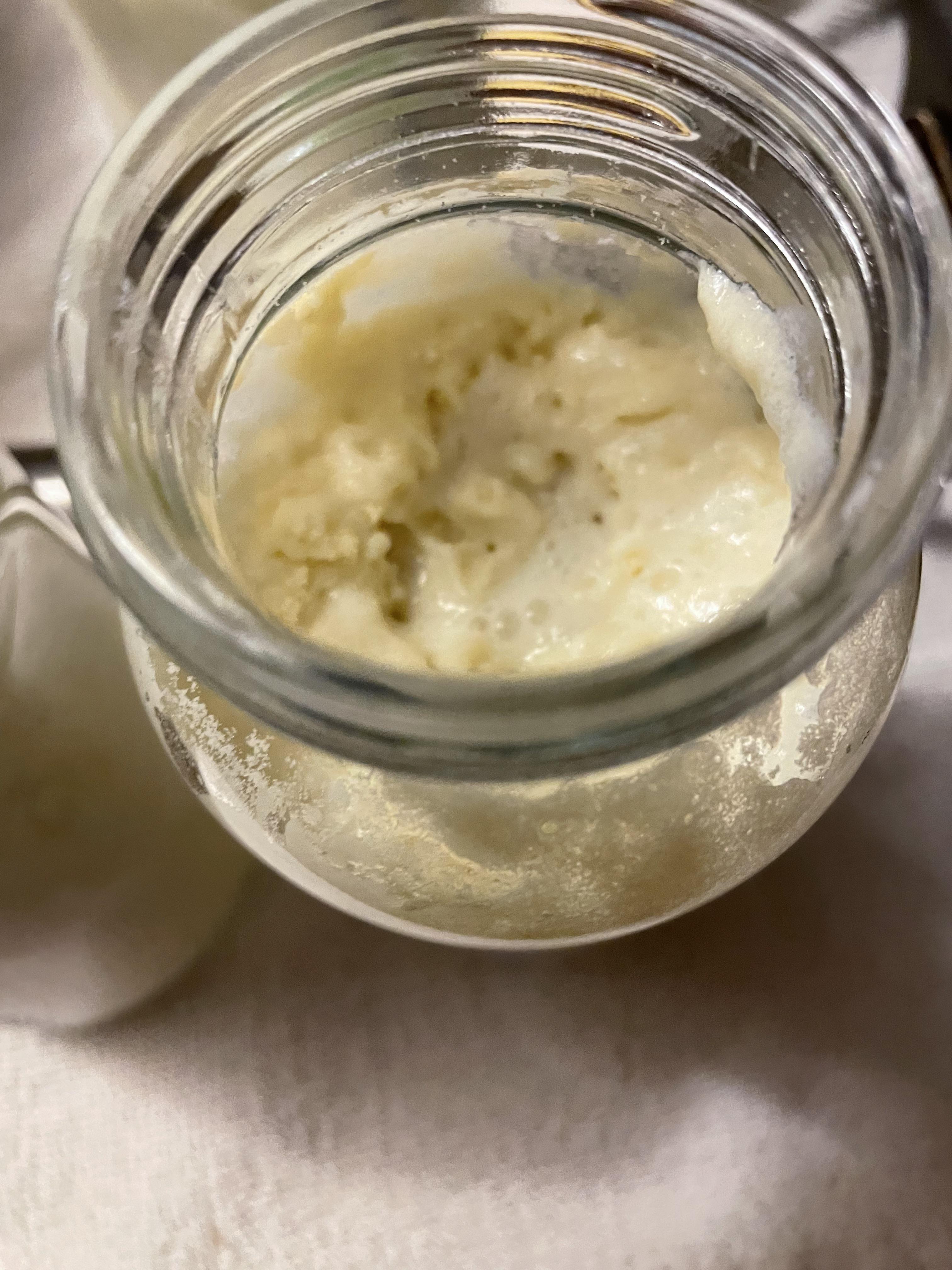 Baby Brezza problem - too much formula : r/parentsofmultiples