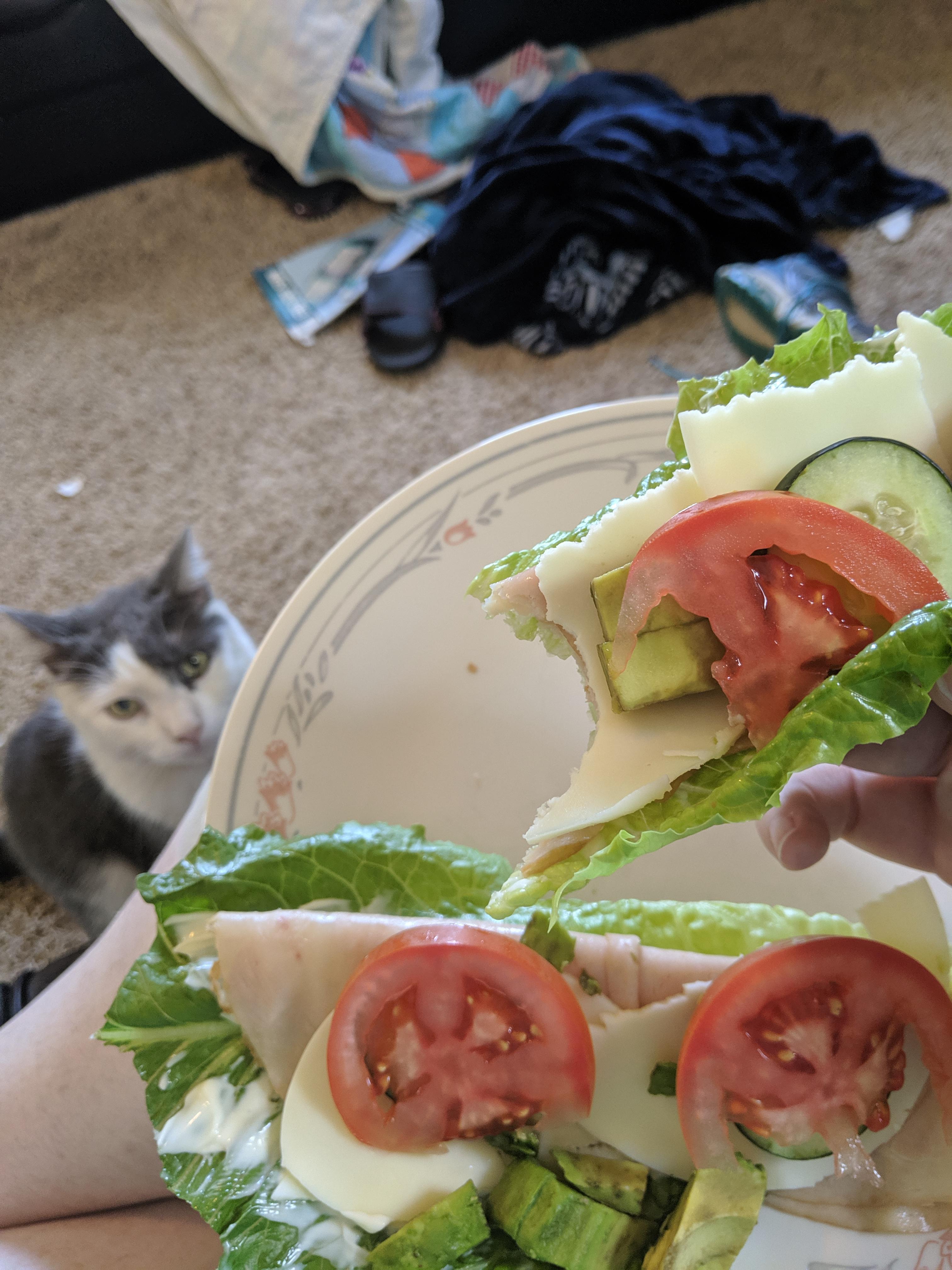 Murky Mom Munwich (homemade Turkey Tom Unwich) r/Ketomealseatingnow
